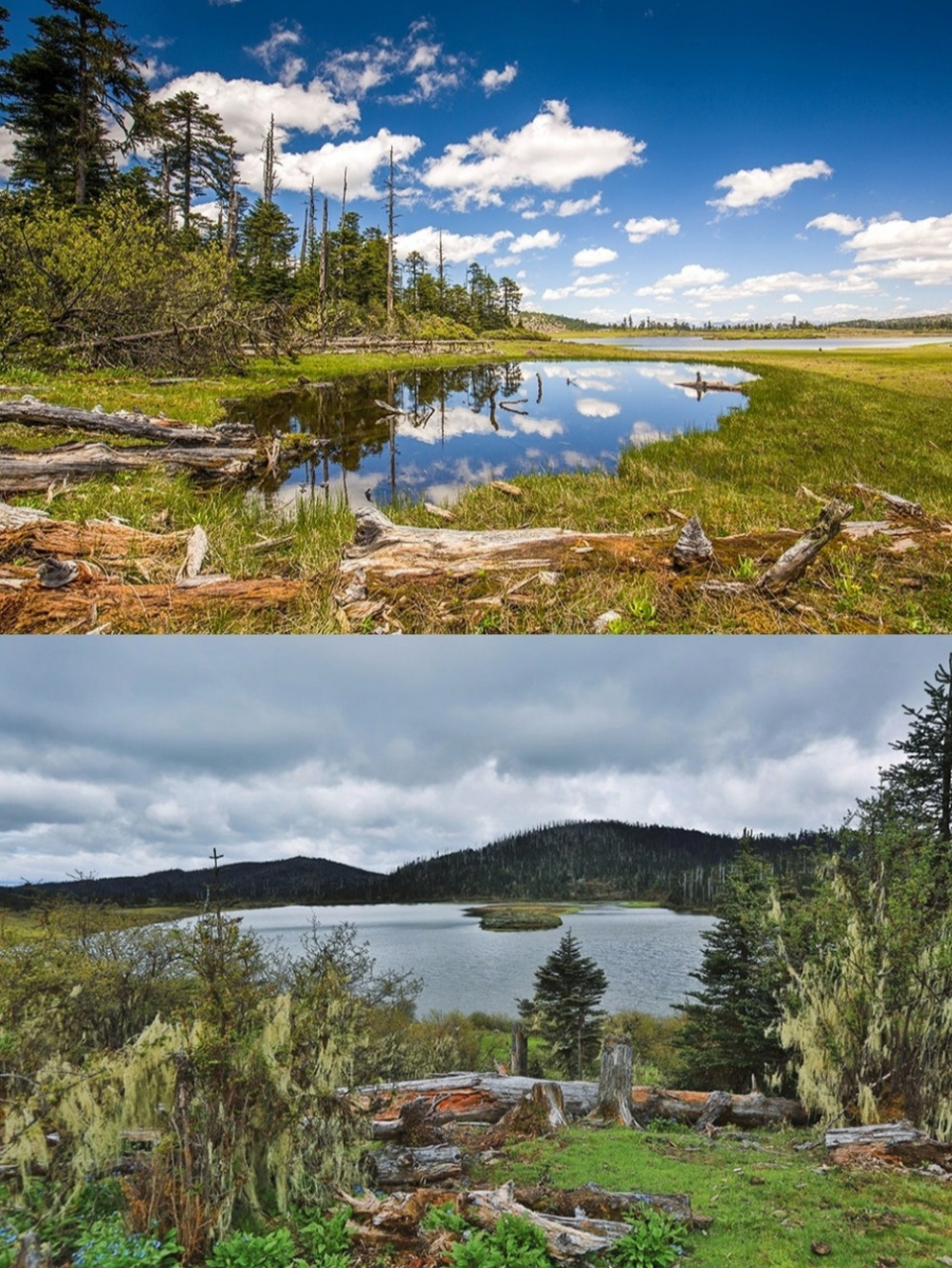 千湖山位于香格里拉县小中甸乡团结村境内,藏语称"拉姆东措",意为"