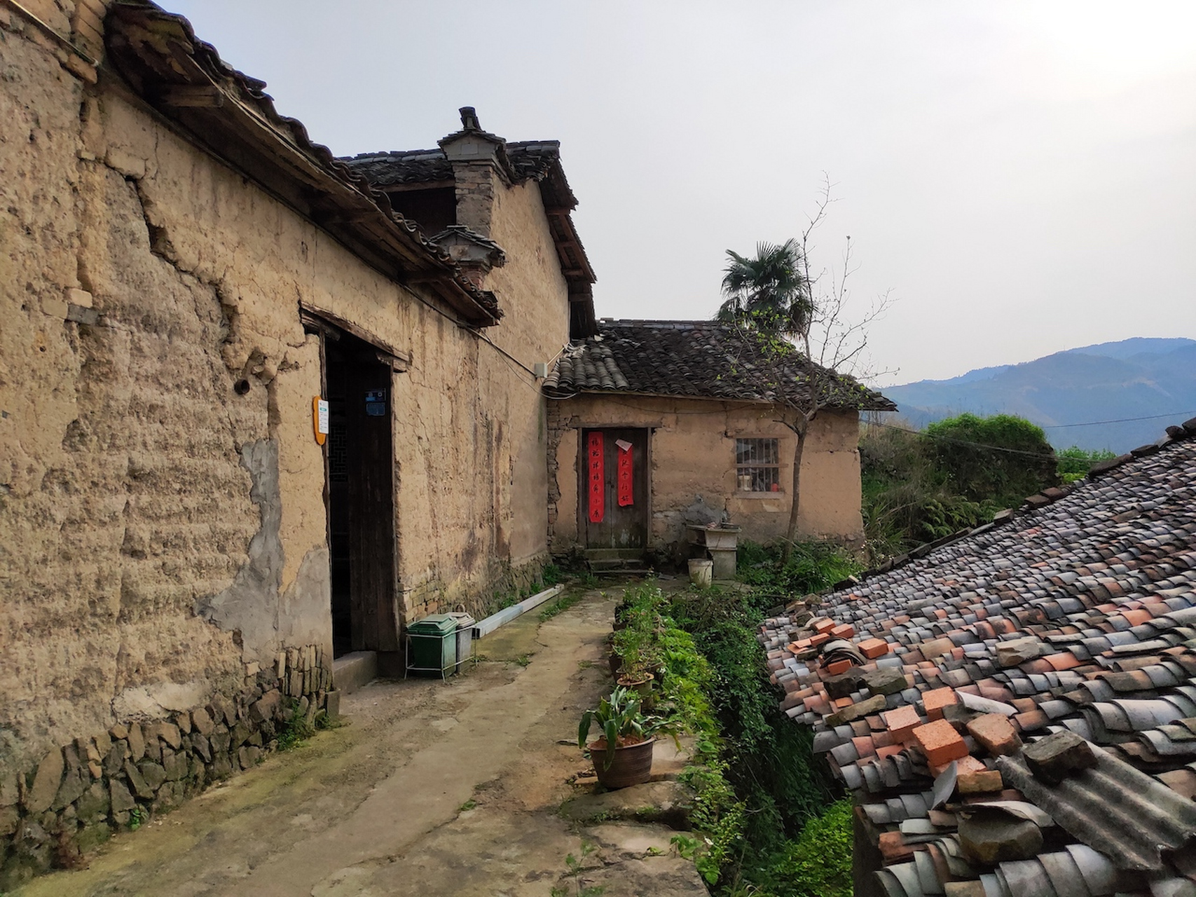 走进浙江丽水平田村,感受云上的静谧时光.#八月不停更