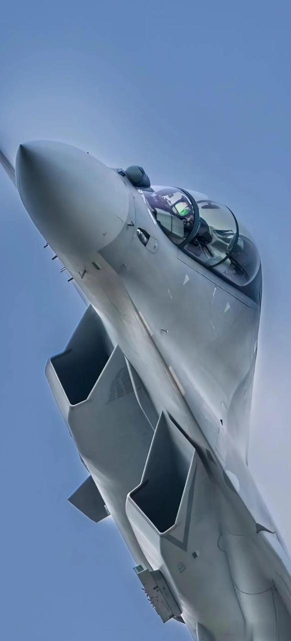 祖国领空守护神之歼十六.