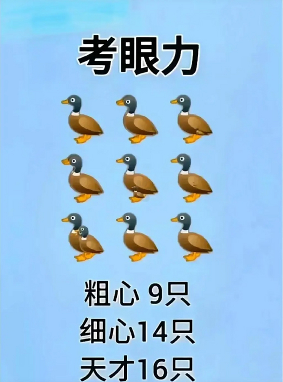 眼力测试# #如果人们看得见