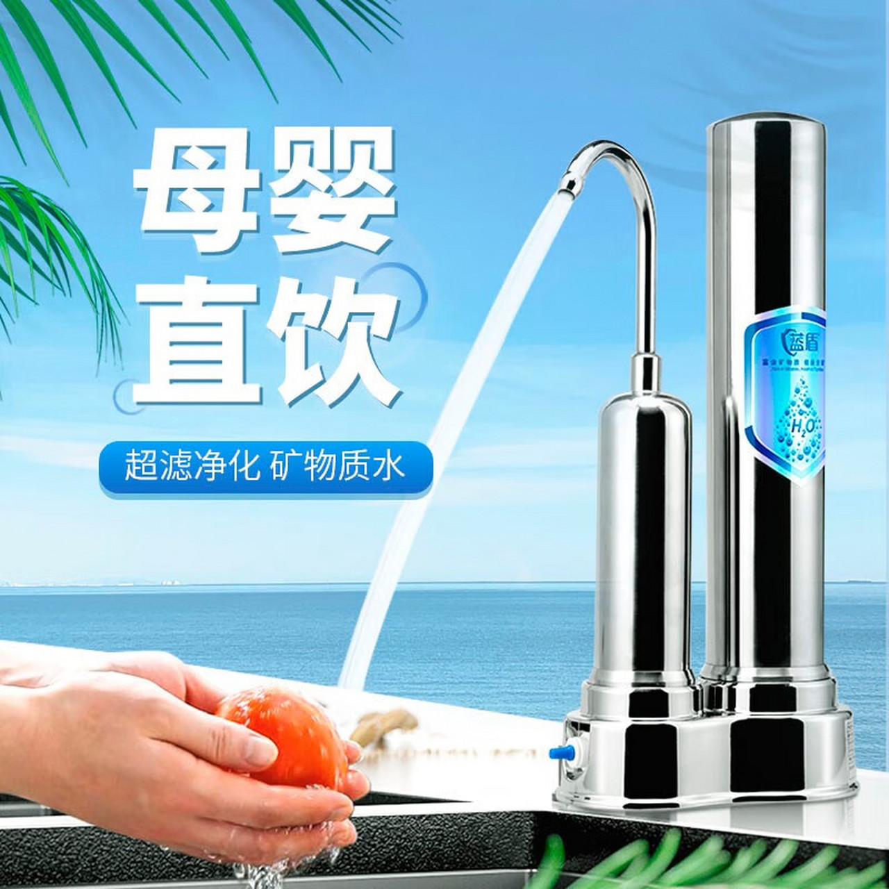 蓝盾 净水器家用直饮纯软水机厨房台式自来水龙头过滤器全屋中央前置