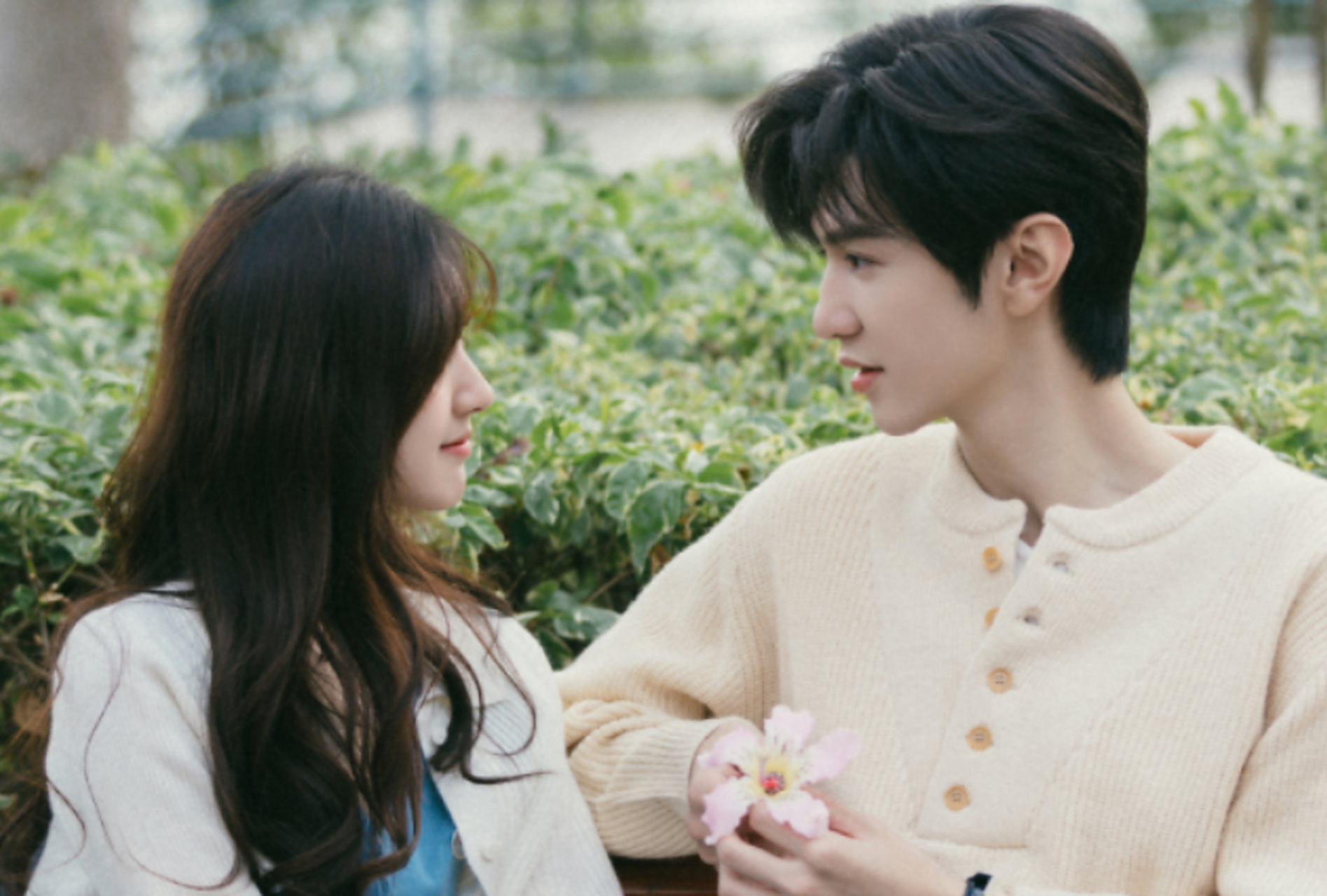 偷偷藏不住# 《偷偷藏不住》讲述的是一个暗恋的故事,桑稚初中时凭屯