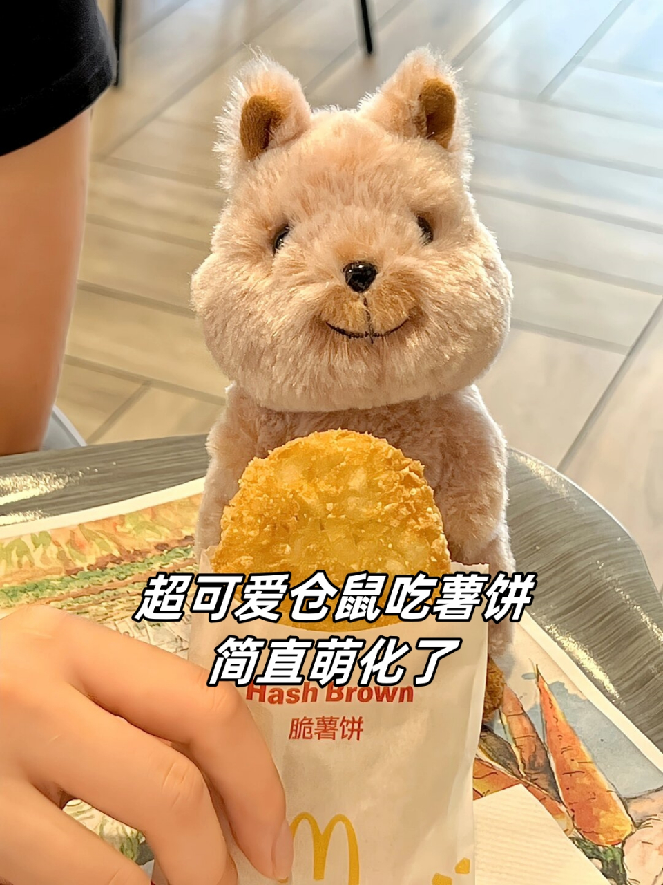 超可爱仓鼠吃薯饼,简直萌化了