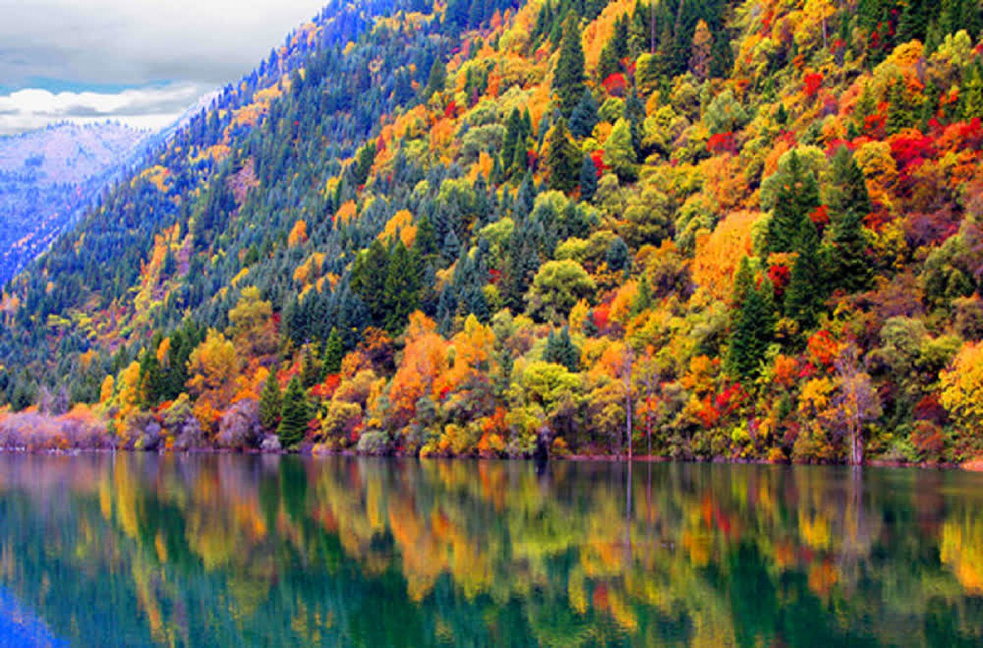 黑水奶子沟梦幻般的彩林,是秋季摄影爱好者的天堂.