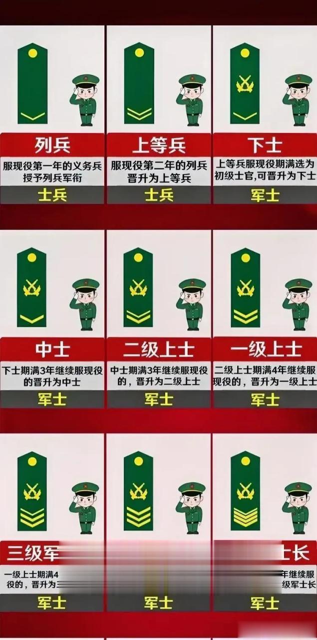 士官军衔图案的含义图片