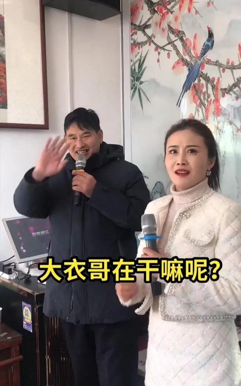 女大衣哥唱歌图片