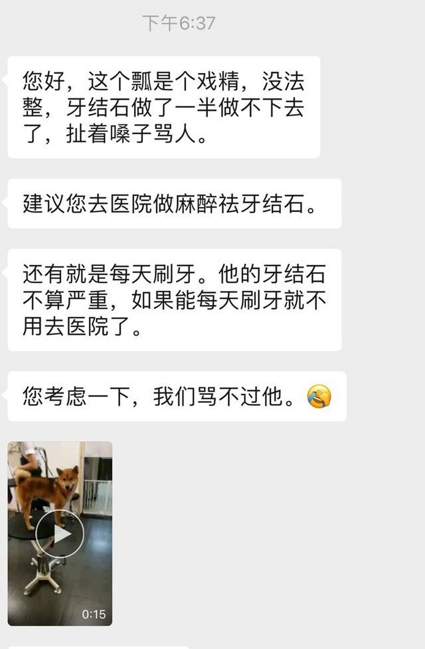 锅碗瓢盆:宋茜领养了小碗,张继科领养了小盆,张子枫领养了锅妹,王珞丹