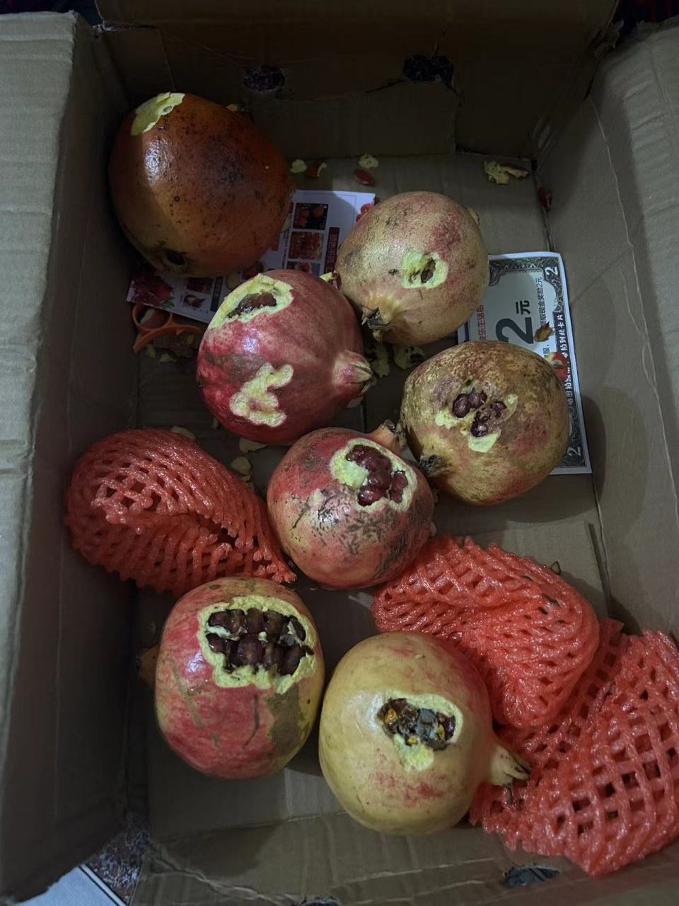 闹呢,网上买的石榴,一箱七个,六个都是坏了,还有一颗都长虫子了.