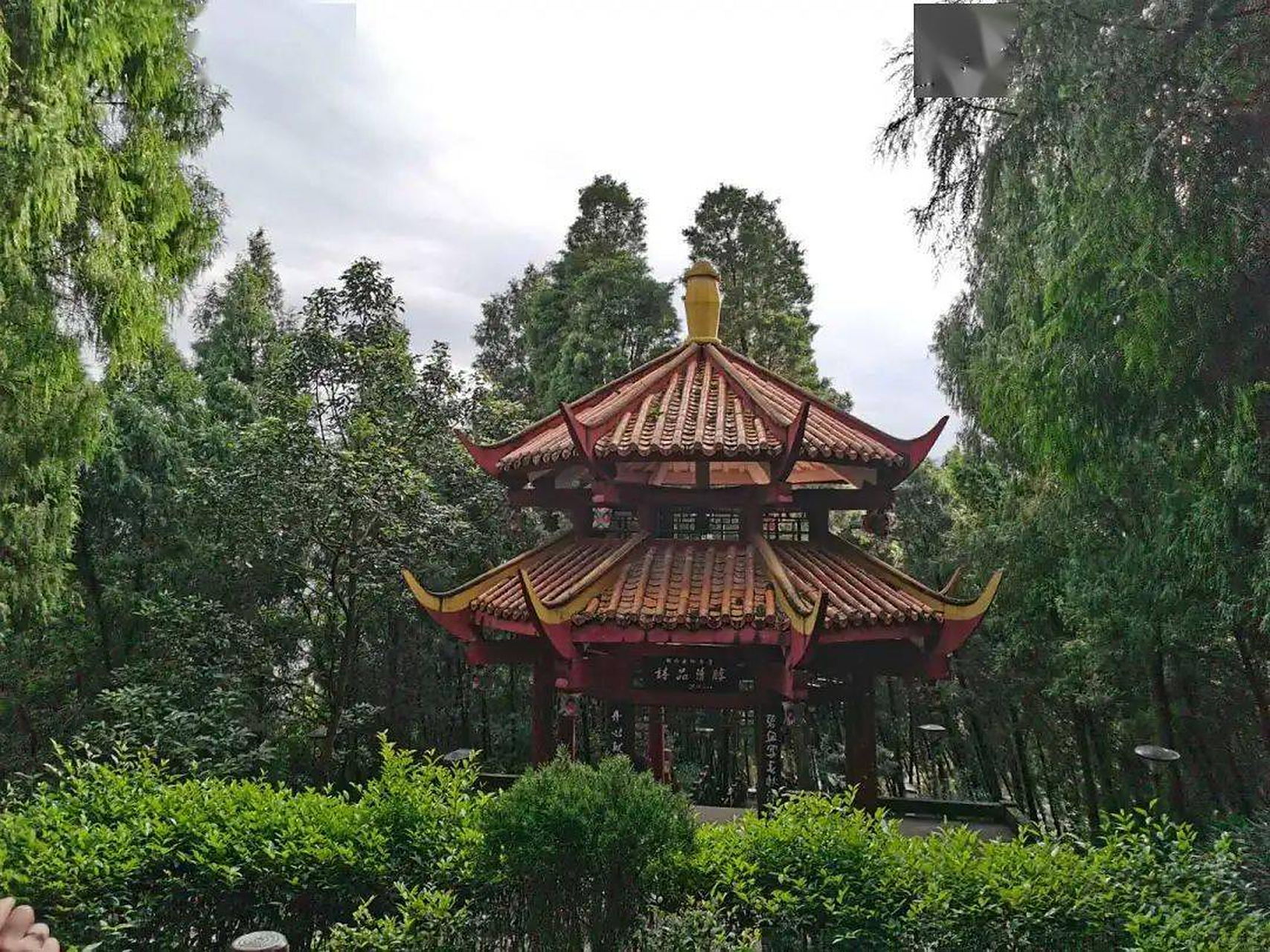 古蔺火星山森林公园:它的整个公园以火星山为中心,东西绵延各10公里