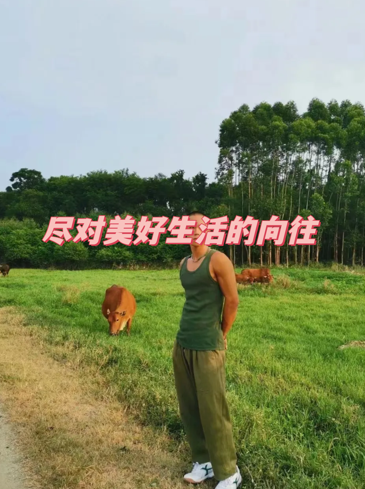 他生活虽然艰辛,但内心却充满了对美好生活的向往.