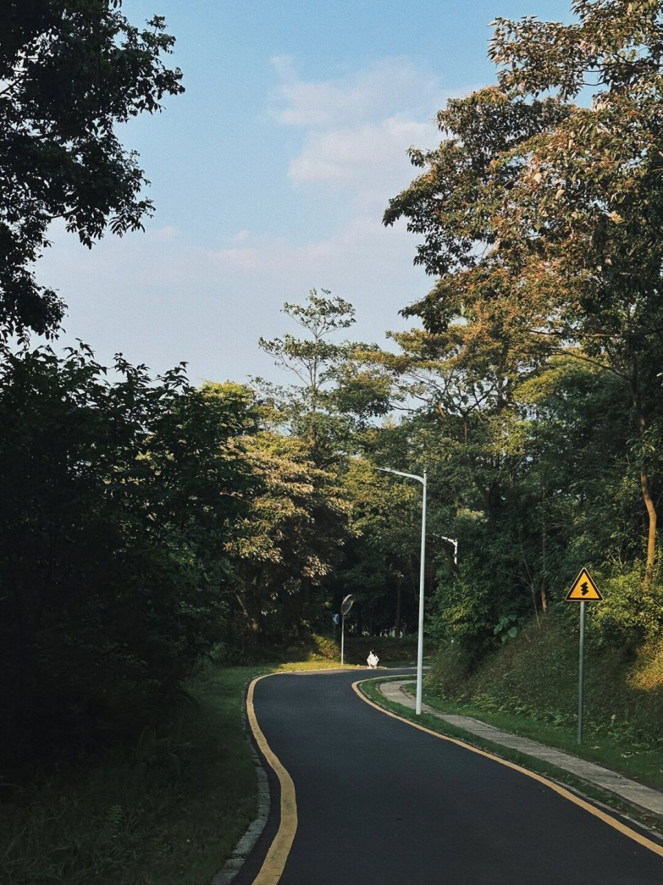 爬油麻山森林公园攻略  油麻山森林公园是一个适合徒步的地方,距离