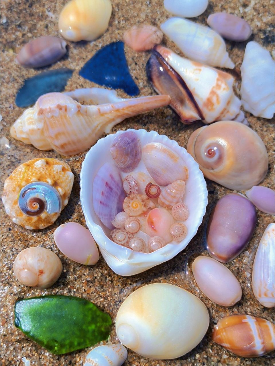 海南小众沙滩,包场赶海捡贝壳,超多海玻璃沙滩上挺多贝壳和海玻璃