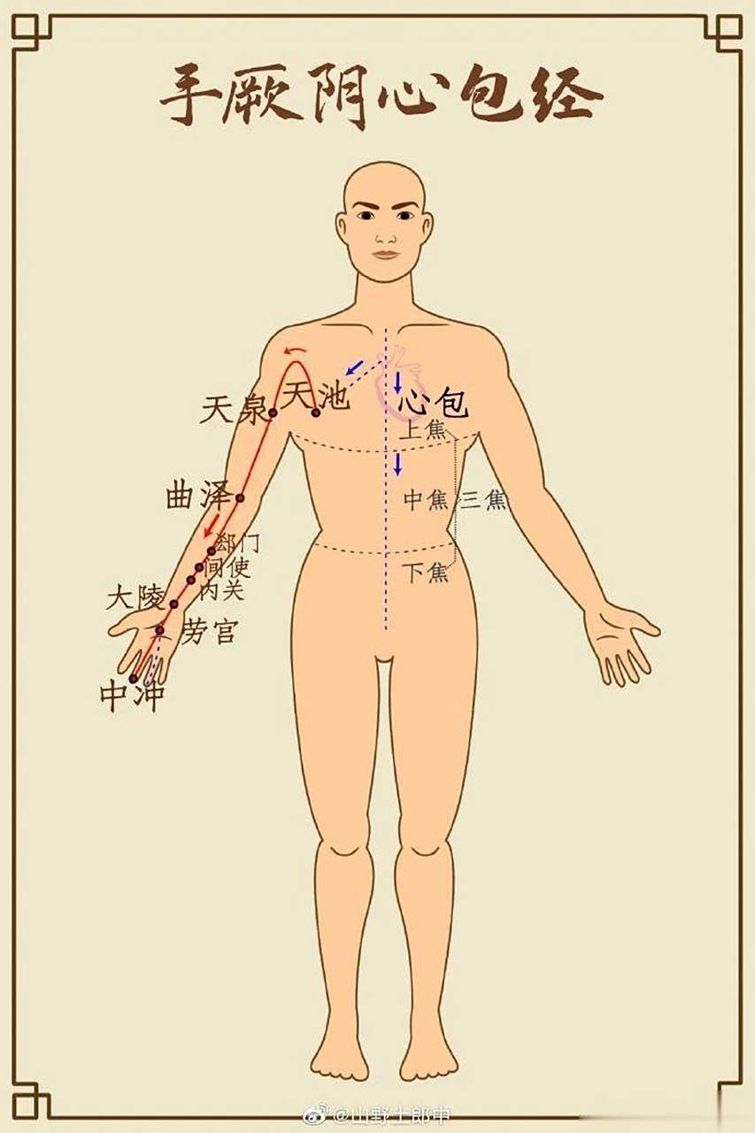 每到夏季,给心脏减负尤为重要.