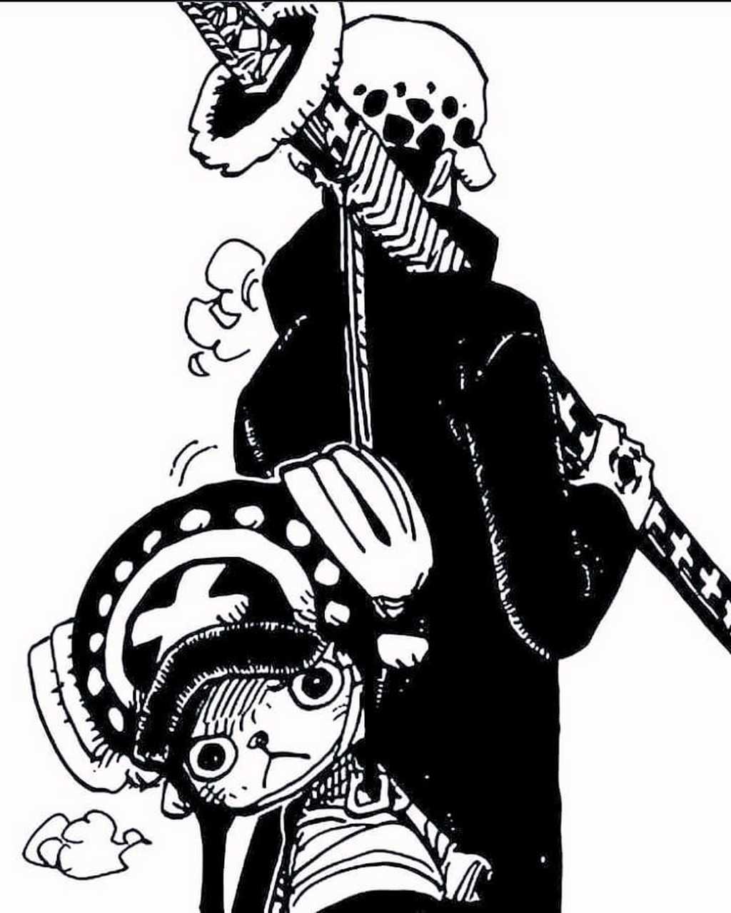 海贼王# 乔巴和罗