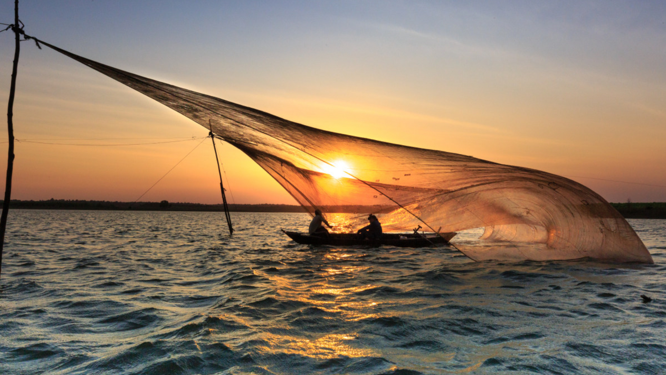 凯紫,你好,关注你几年了,每天听你的节目度过每个夜晚,说说我的故事吧