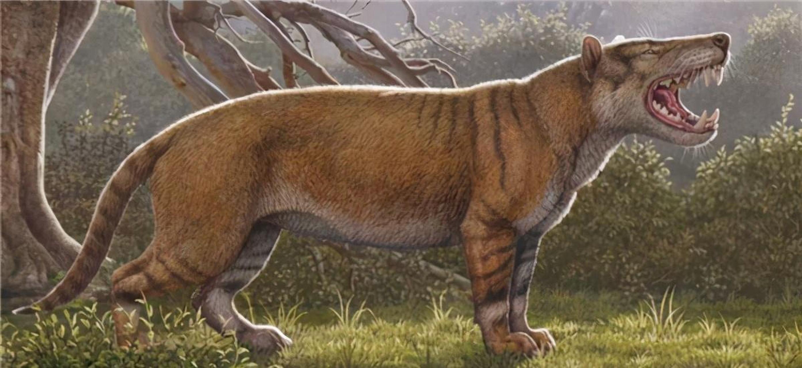 远古十大猛兽排名(远古猛兽排行榜前十)