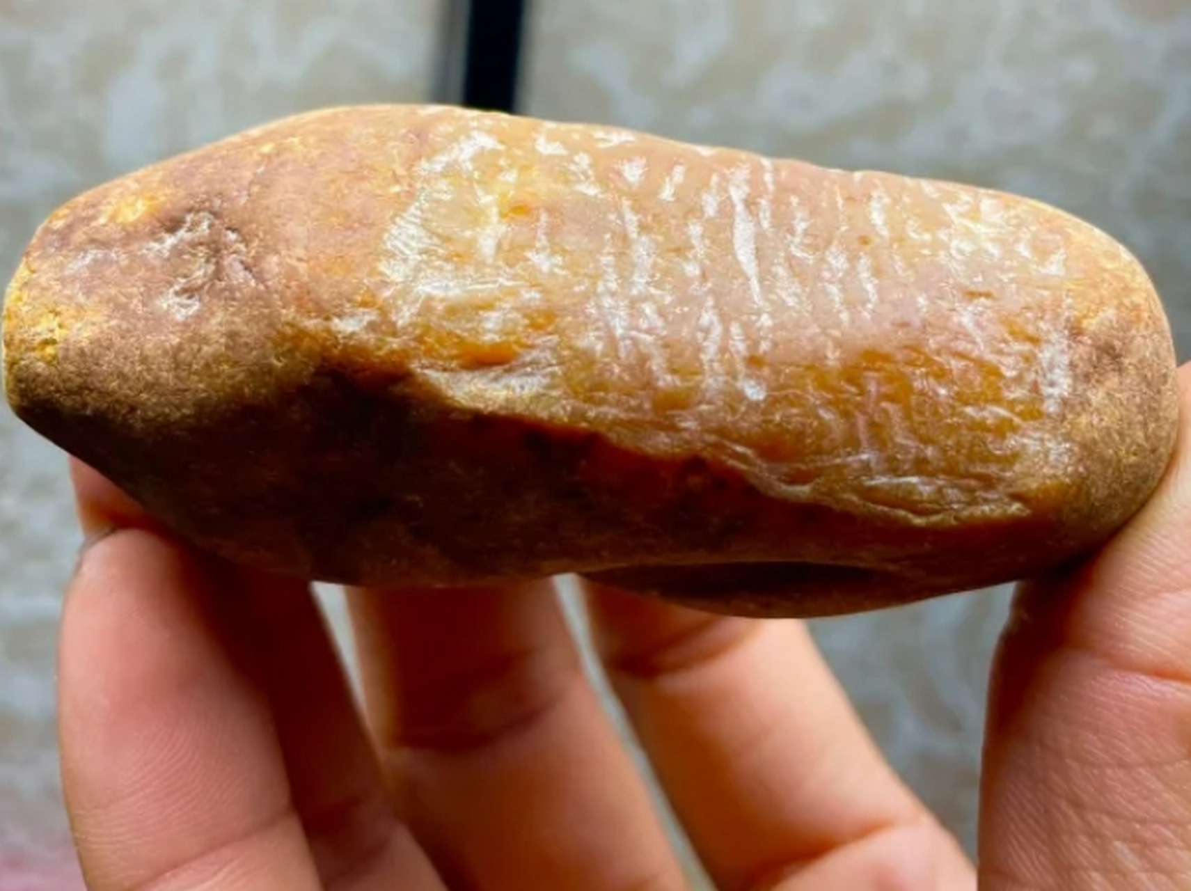 点击头像看直播# #翡翠原石# 230克达码砍黄翡,冰黄,全身无裂,冰冰