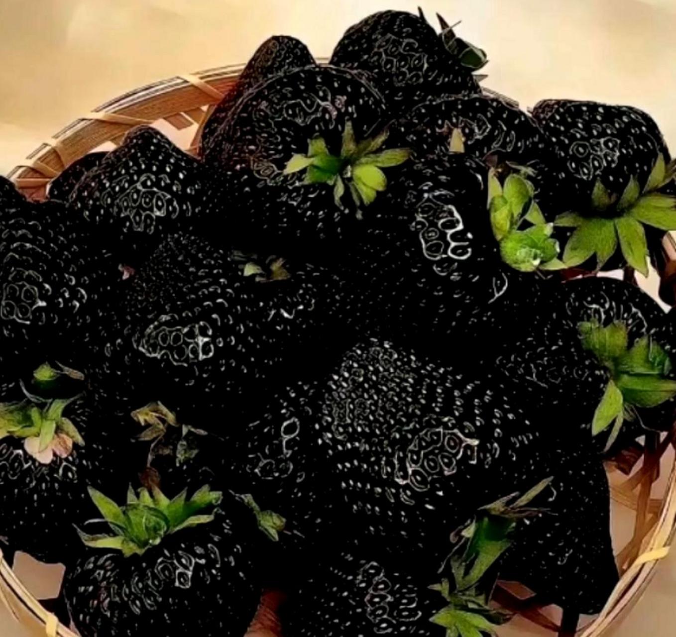 一百元能买两斤草莓,但为什么还有黑色的呢?