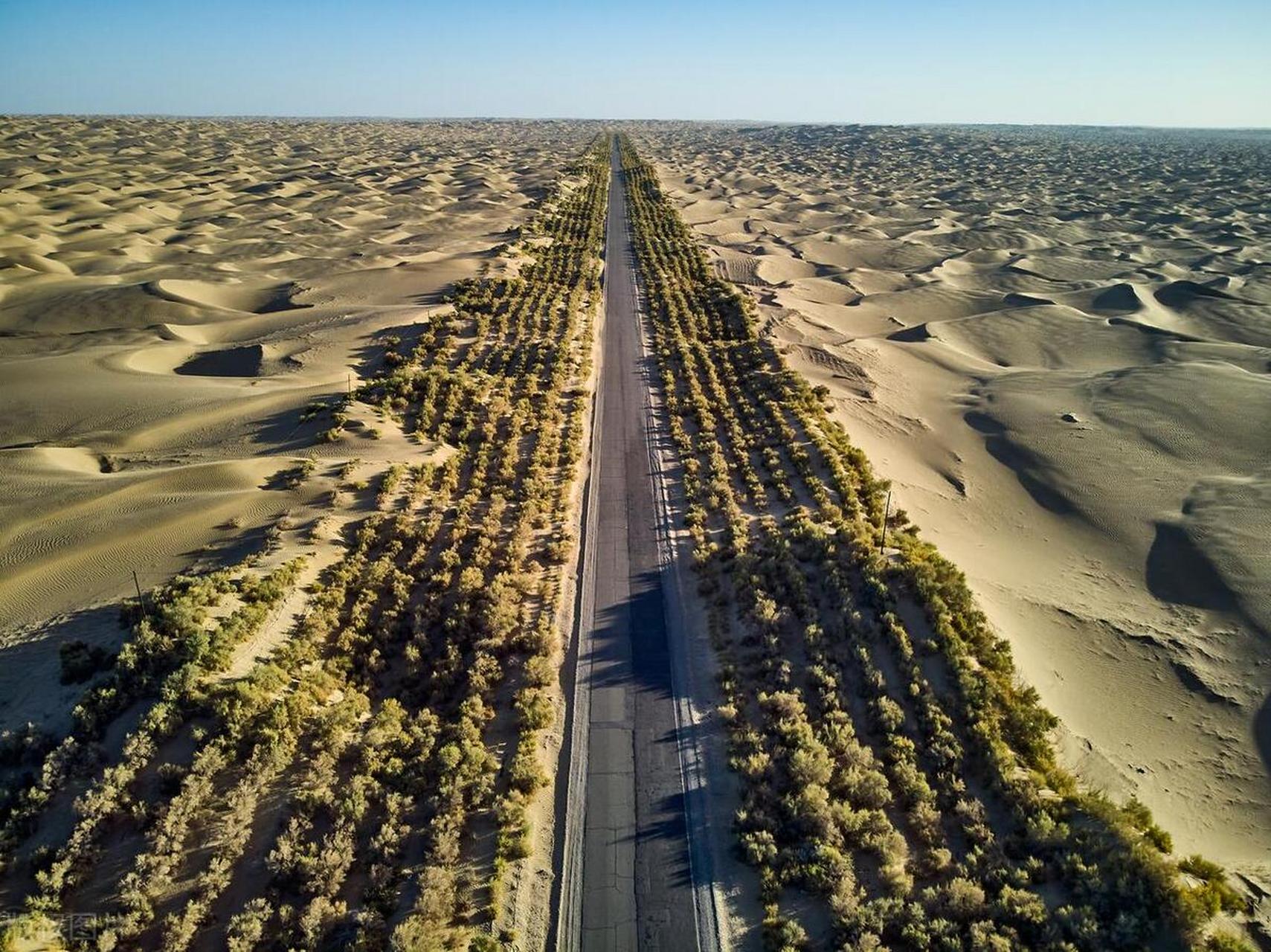 塔里木沙漠公路图片