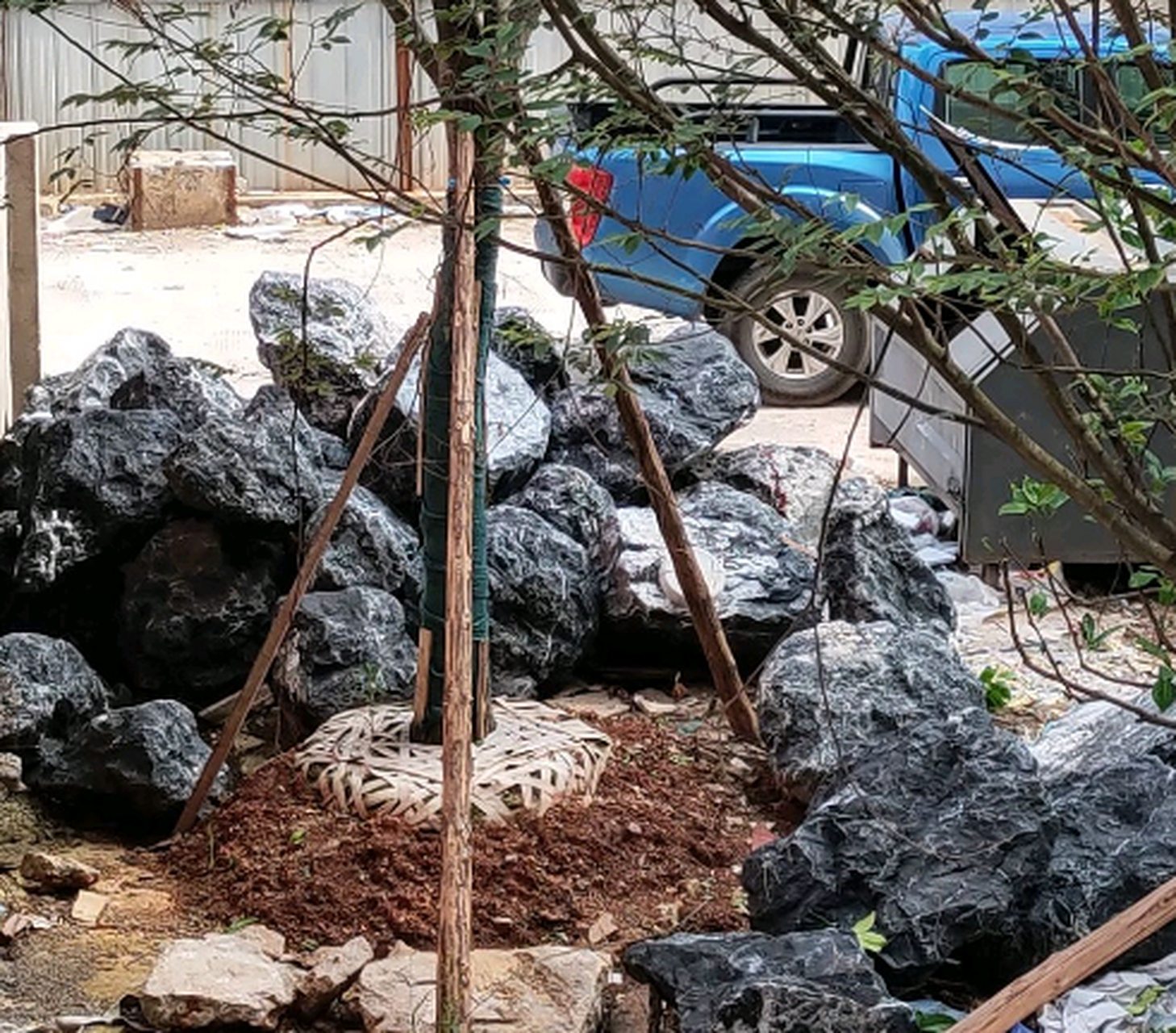 这些石头,第一眼看上去就像话梅一样,感觉有点好吃