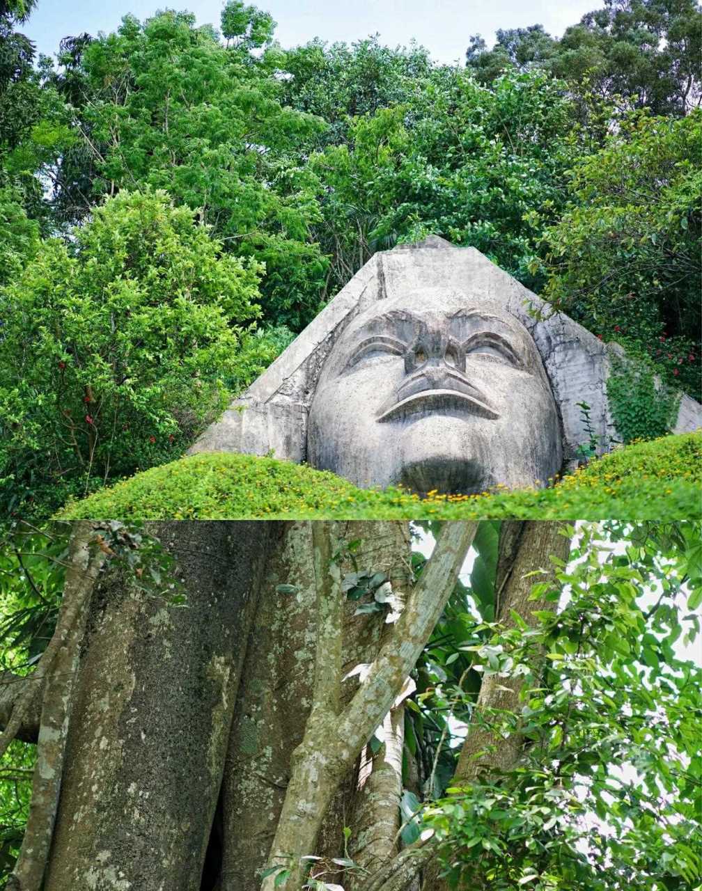 去西双版纳的基诺山寨是因为听说内面住的基诺族是云南那么多个民族中