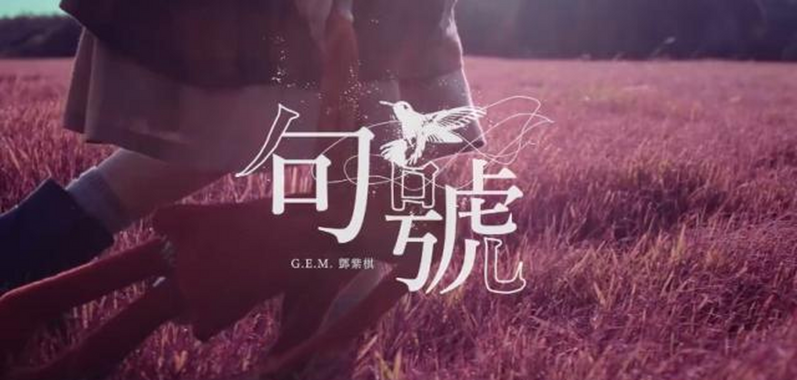 邓紫棋(英语:gloria tang tsz-kei,1991年8月16日-),又名g.e.m.