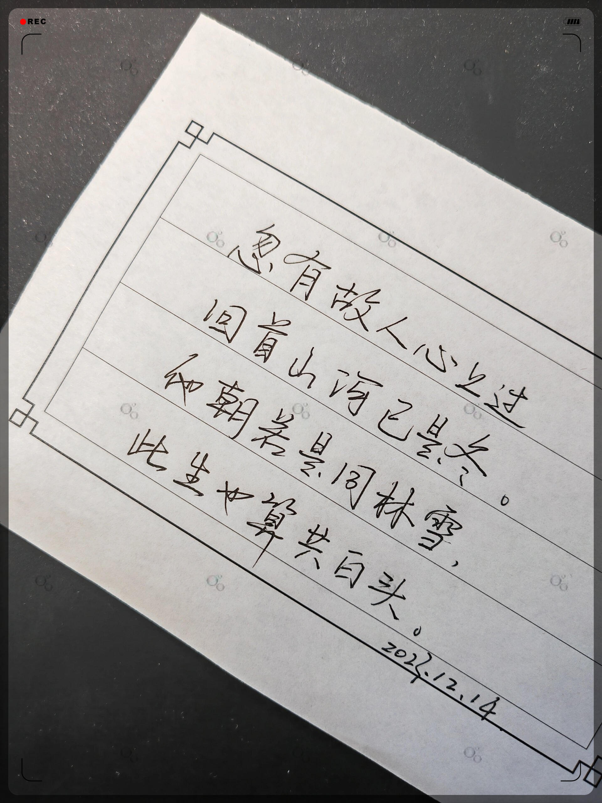 大雪如期而至眼前白茫茫一片让人想起