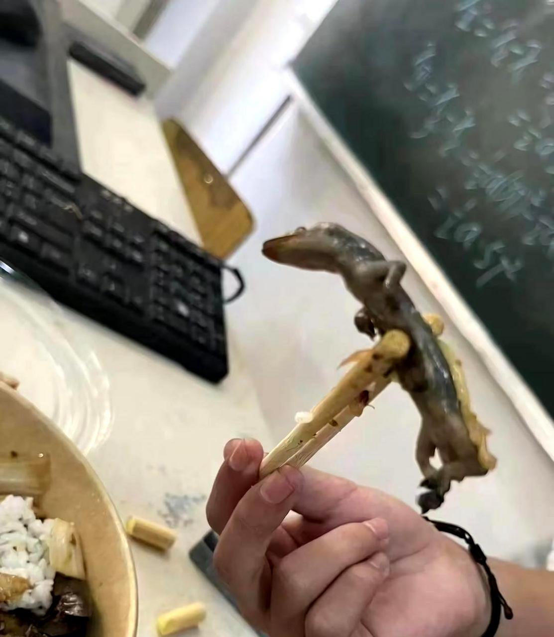 我感谢老板给我加的菜,但不确定壁虎该如何计算费用.