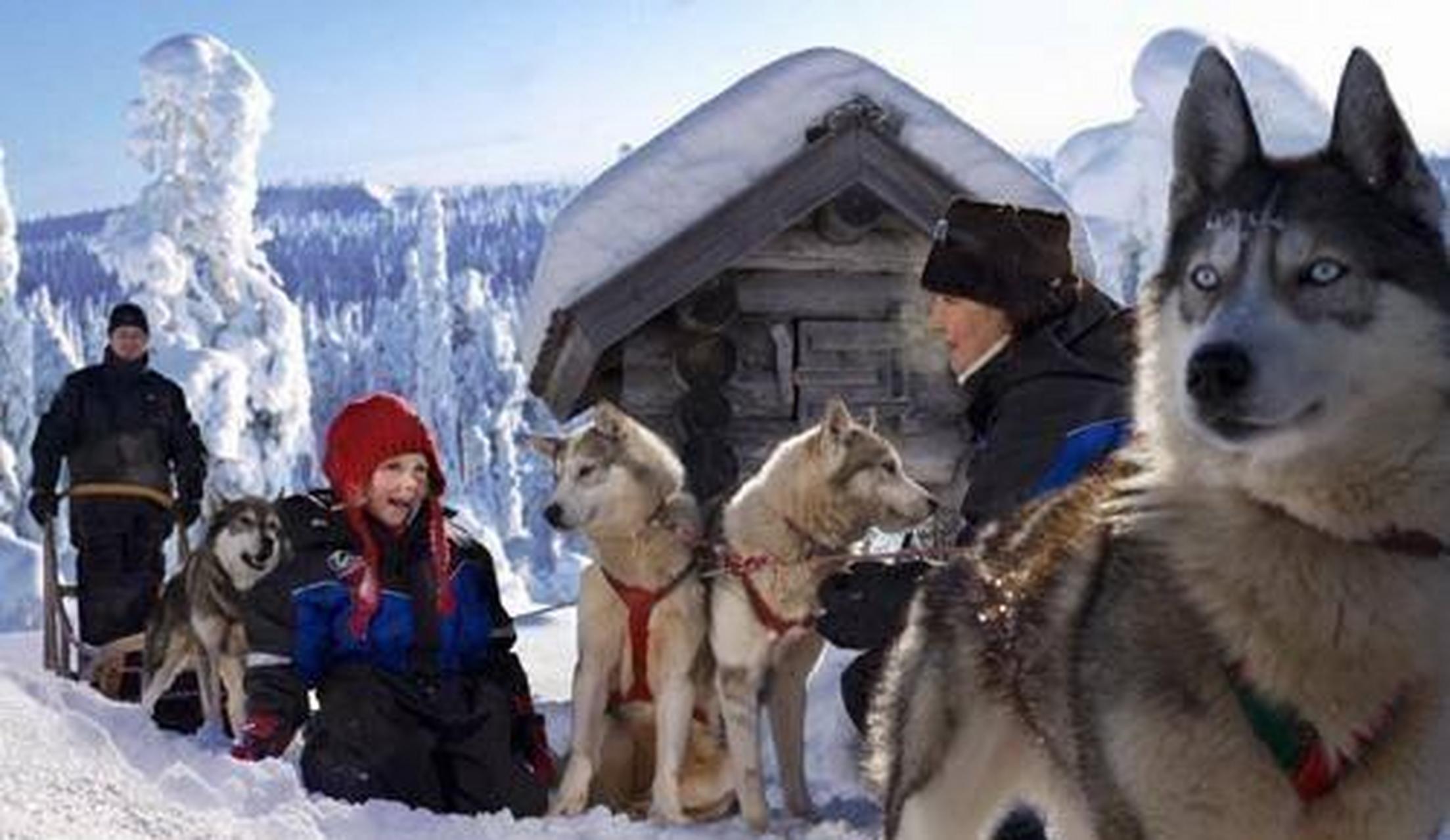 萨米人和芬兰人是北欧地区的两个民族,共同生活在极地地区,萨米人是