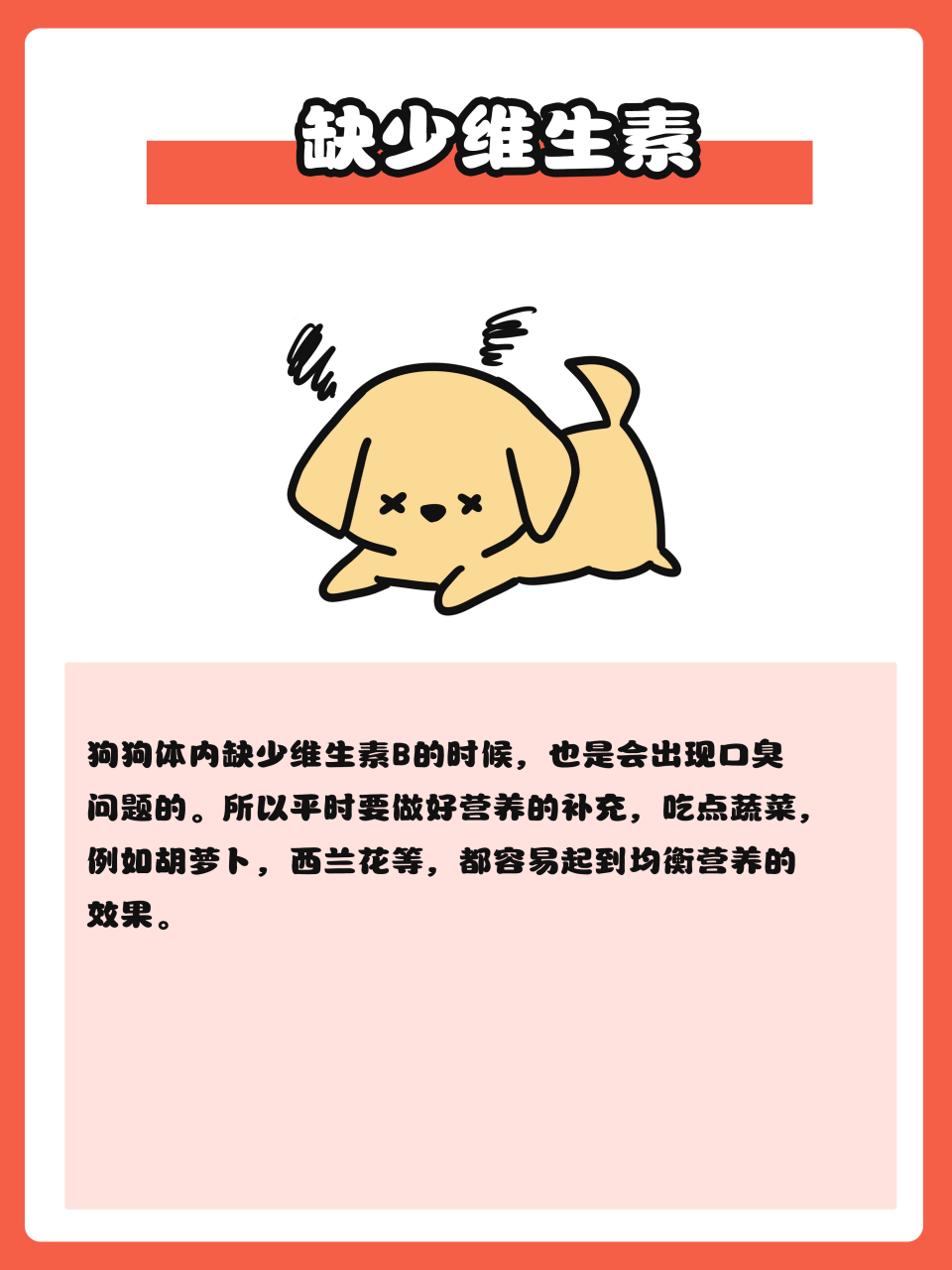 狗狗体味重的原因,铲屎官须知!