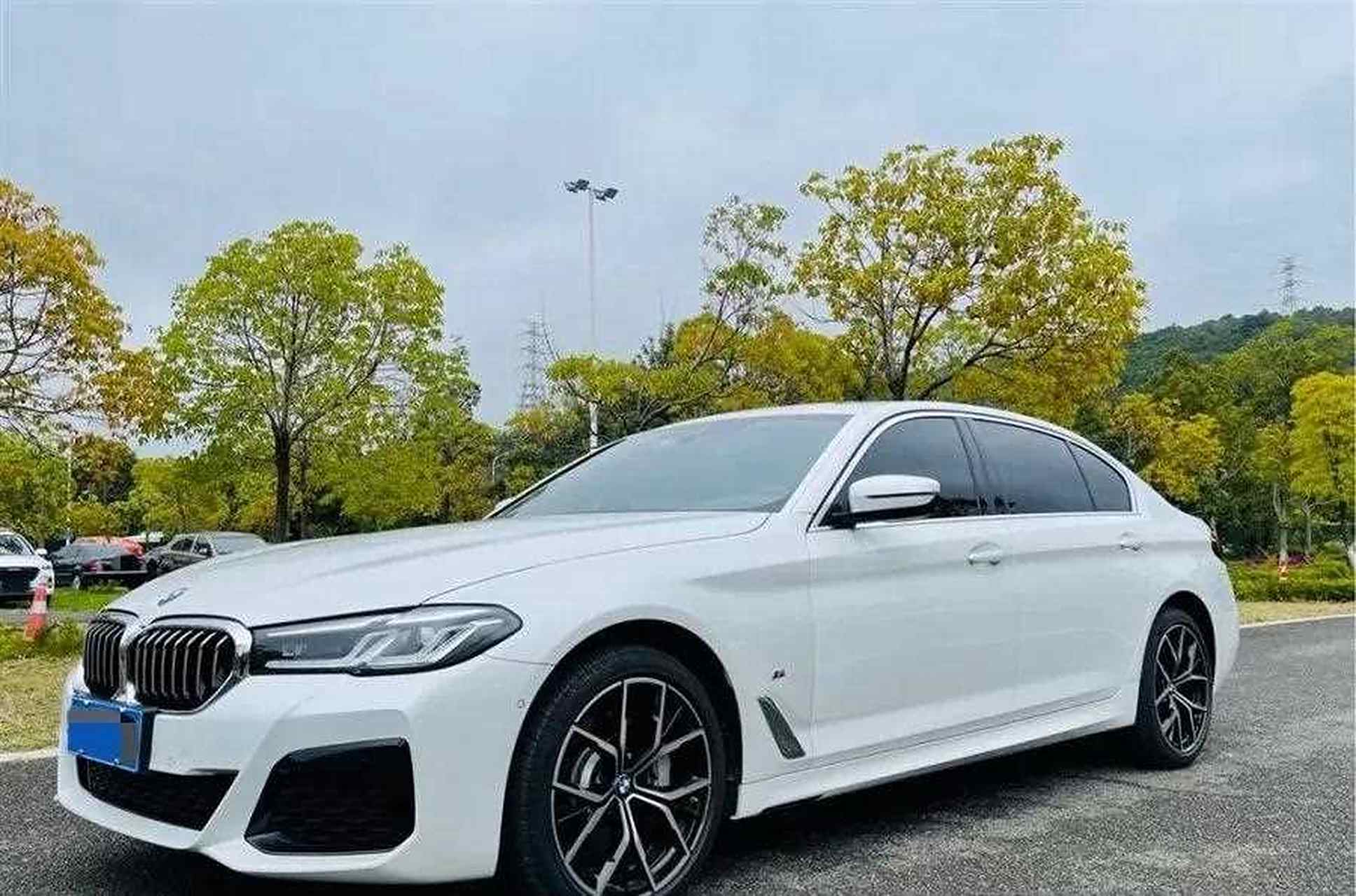 奔驰530轿车型