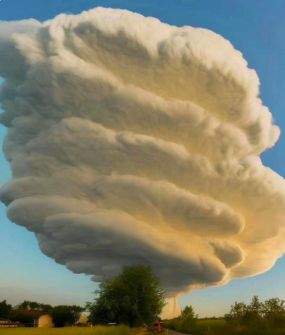 好大的棉花糖啊!真的太漂亮了!