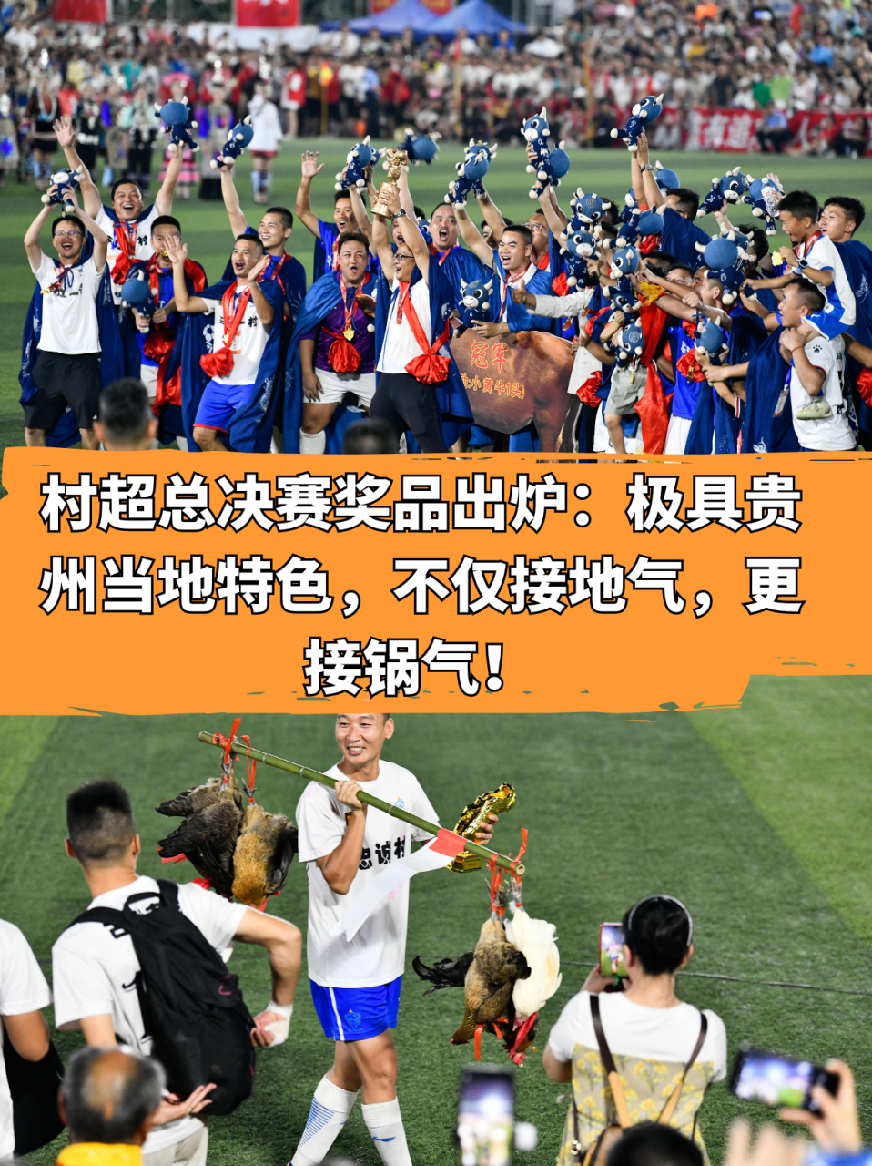 奖品竟是鸡鹅鸭,总冠军奖励一头小黄牛!