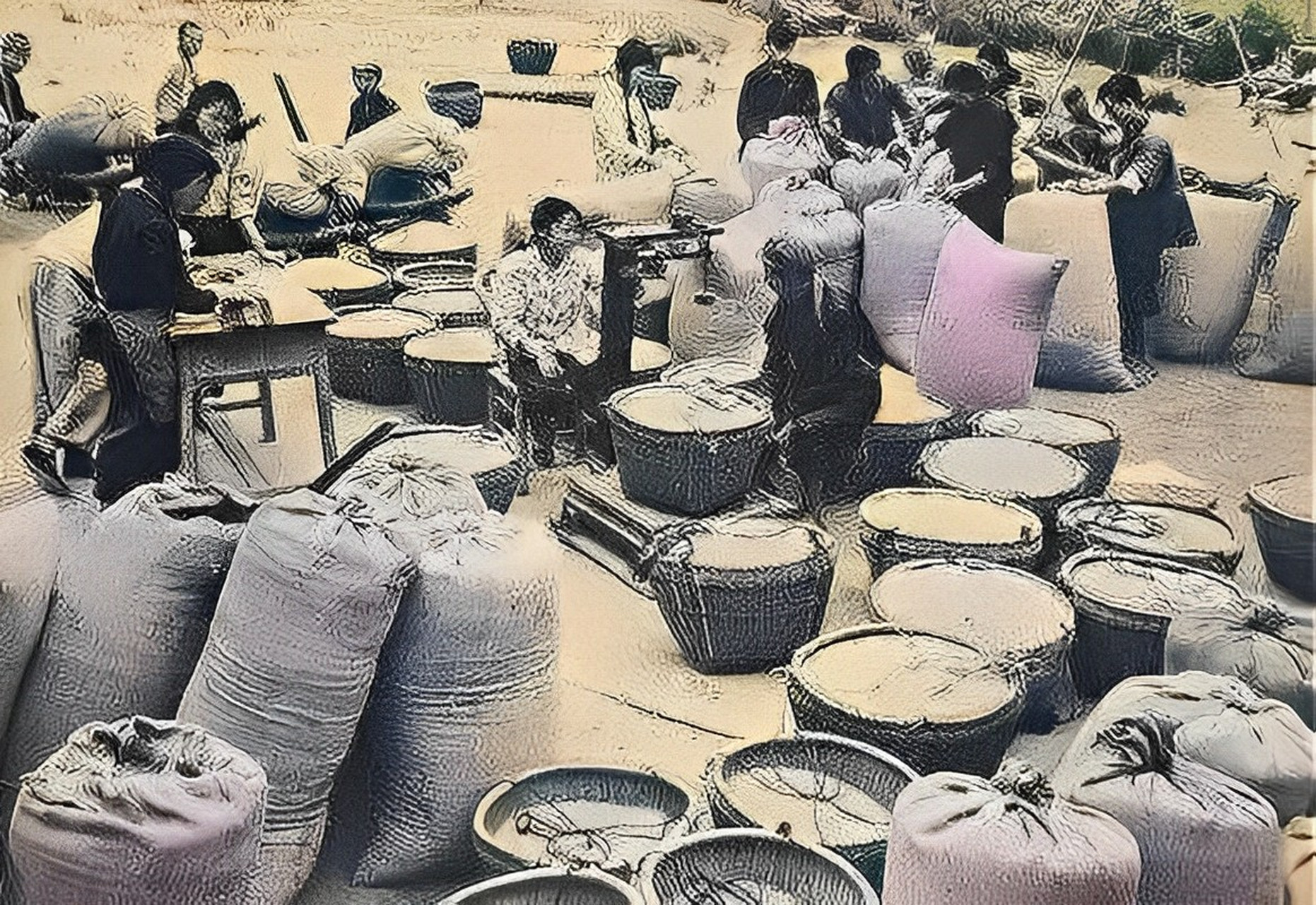 照片是上世纪人民公社时期青年上交公粮的照片.