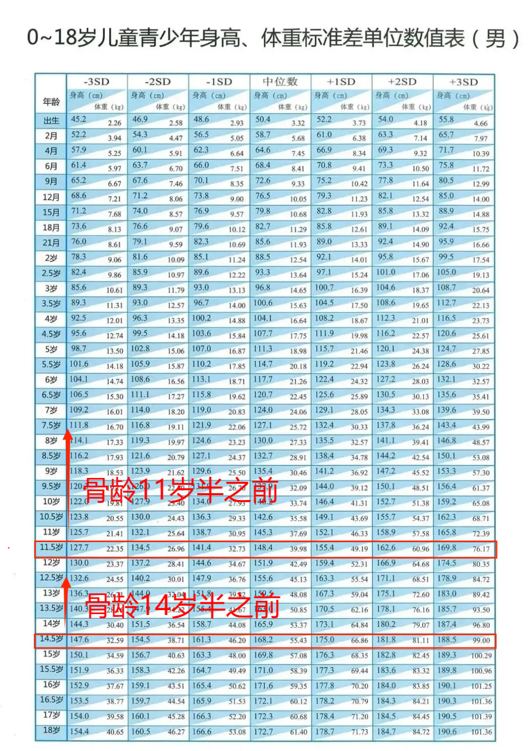 男孩子发育 特征图片