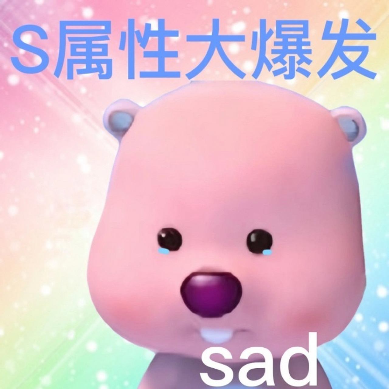 loopy版s属性大爆发趣味表情包