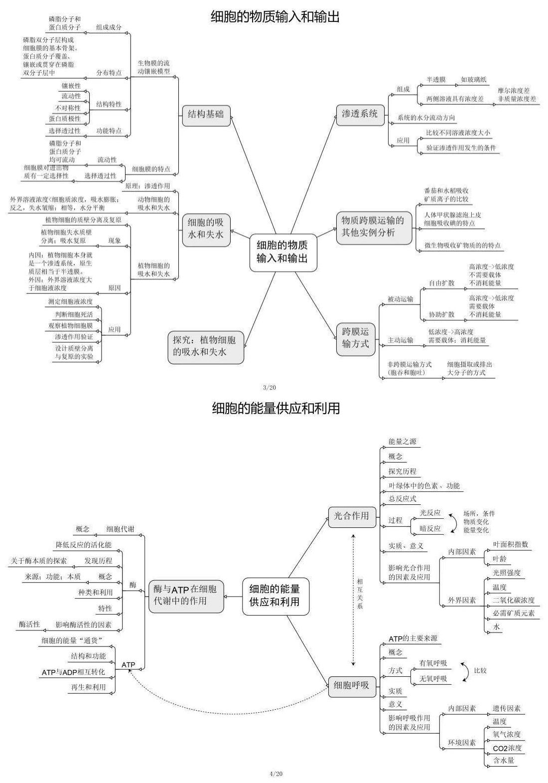 
高中生物导  第1张