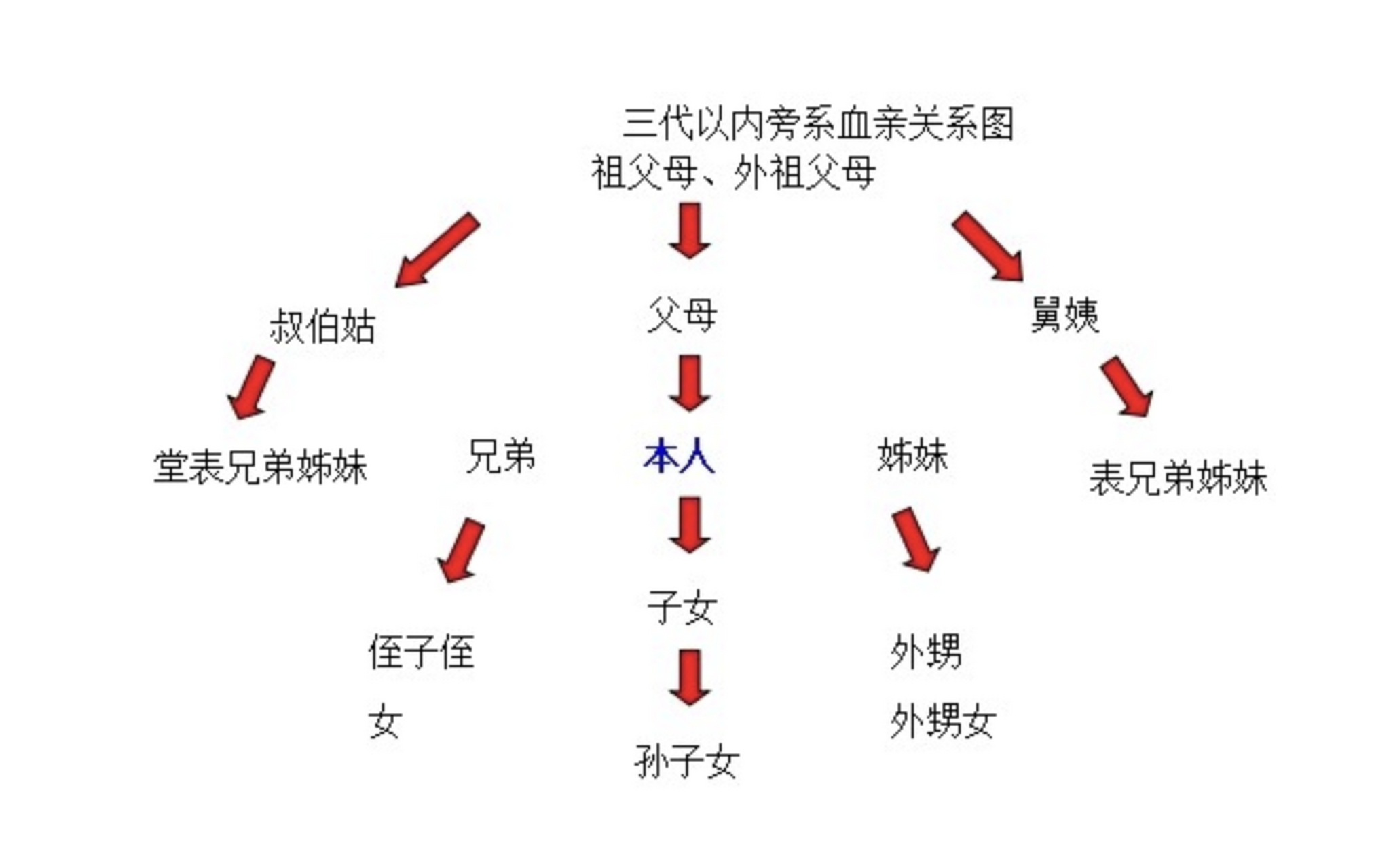 三代以内旁系亲属图解图片