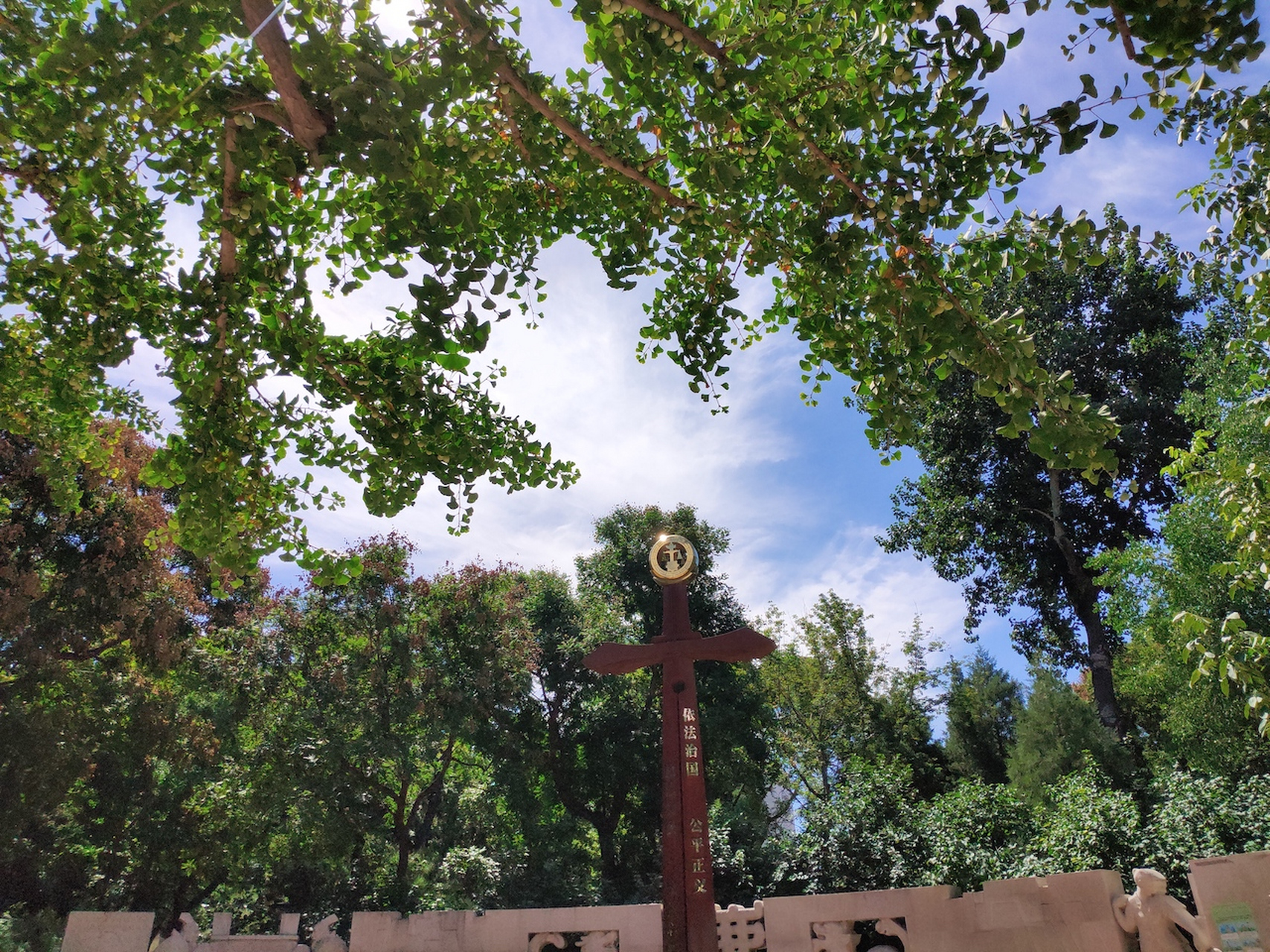 与西城图书馆只有一墙之隔的街心公园——北京官园公园.#八月不停更