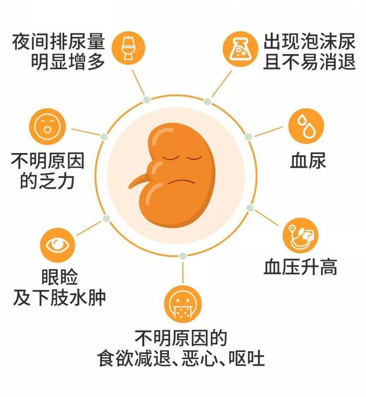 "慢性肾炎"是"慢性肾小球肾炎"的简称,是以慢性肾小球病变为主瞪鲻