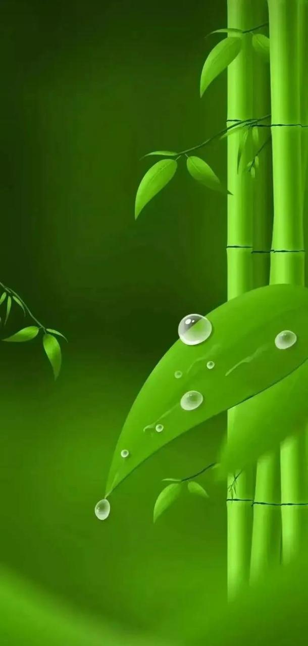 在感情的世界里,最能杀人诛心的方法,强烈建议,不要轻易尝试.