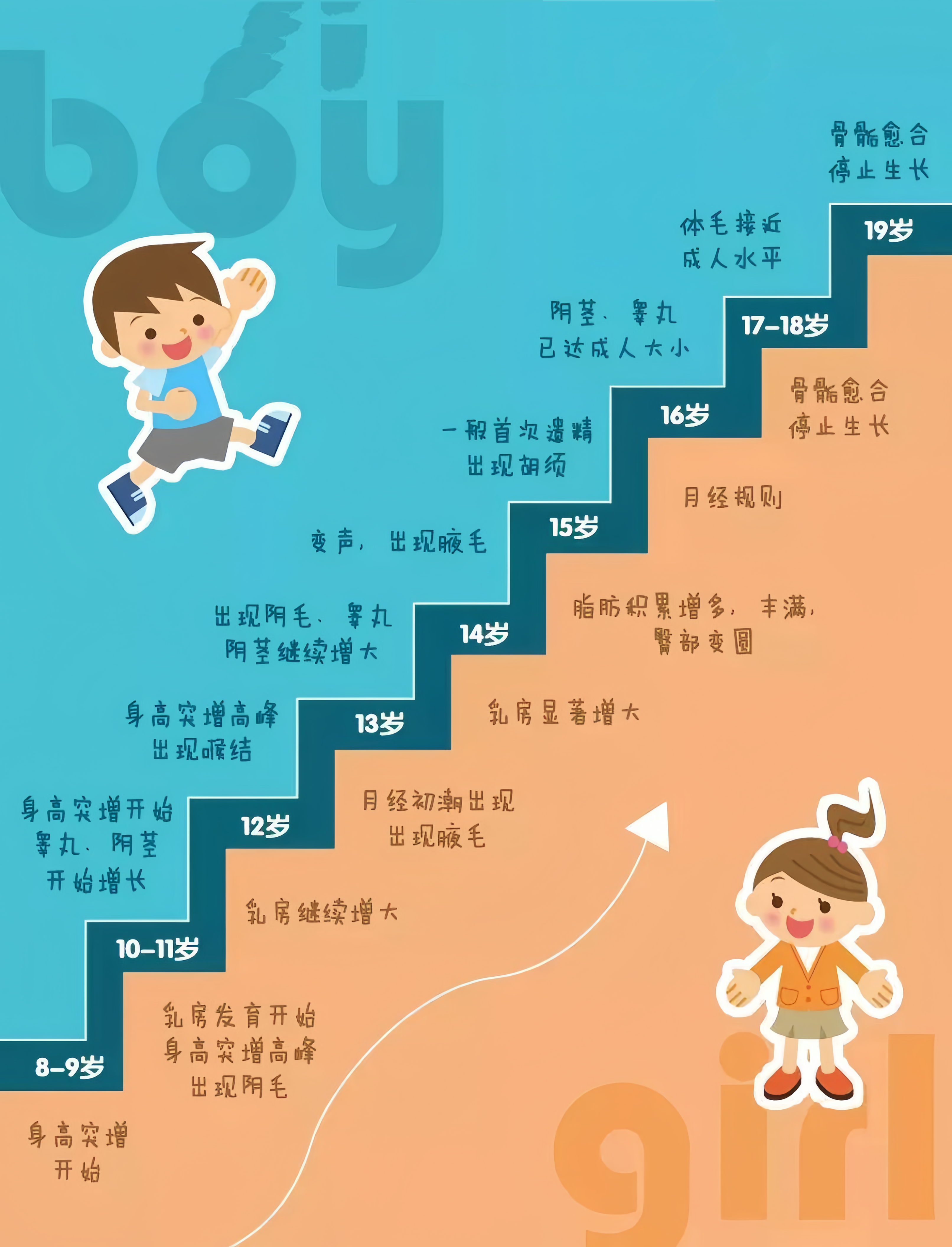男孩9岁前,出现发育特征属于早发育,注意女孩了来月经代表进入青春期