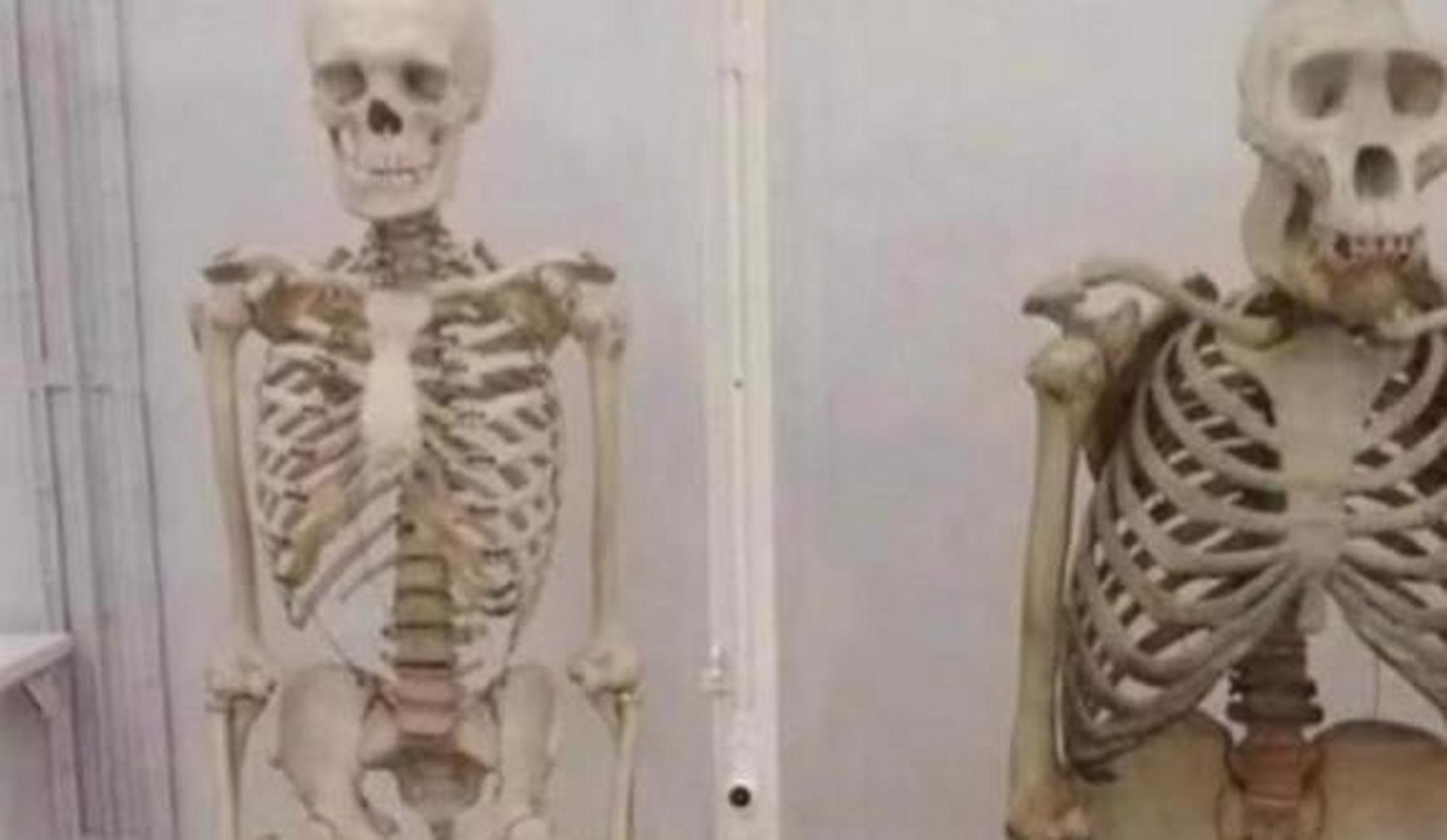 骨架决定了肉能长多少,或者是骨架决定了你怎么长的.