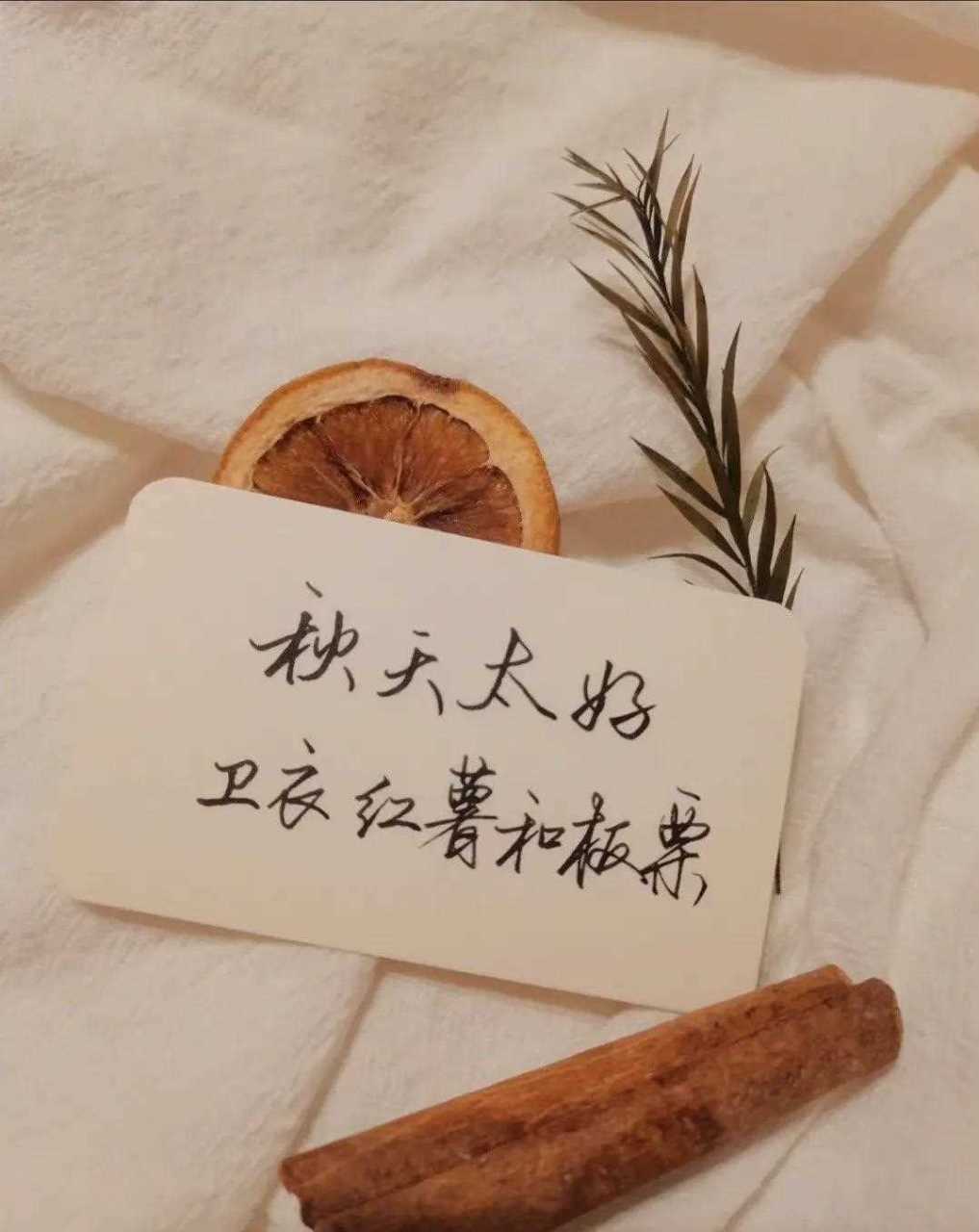 人与人之间 都在不闻不问的日子里 慢慢告别[羊驼]