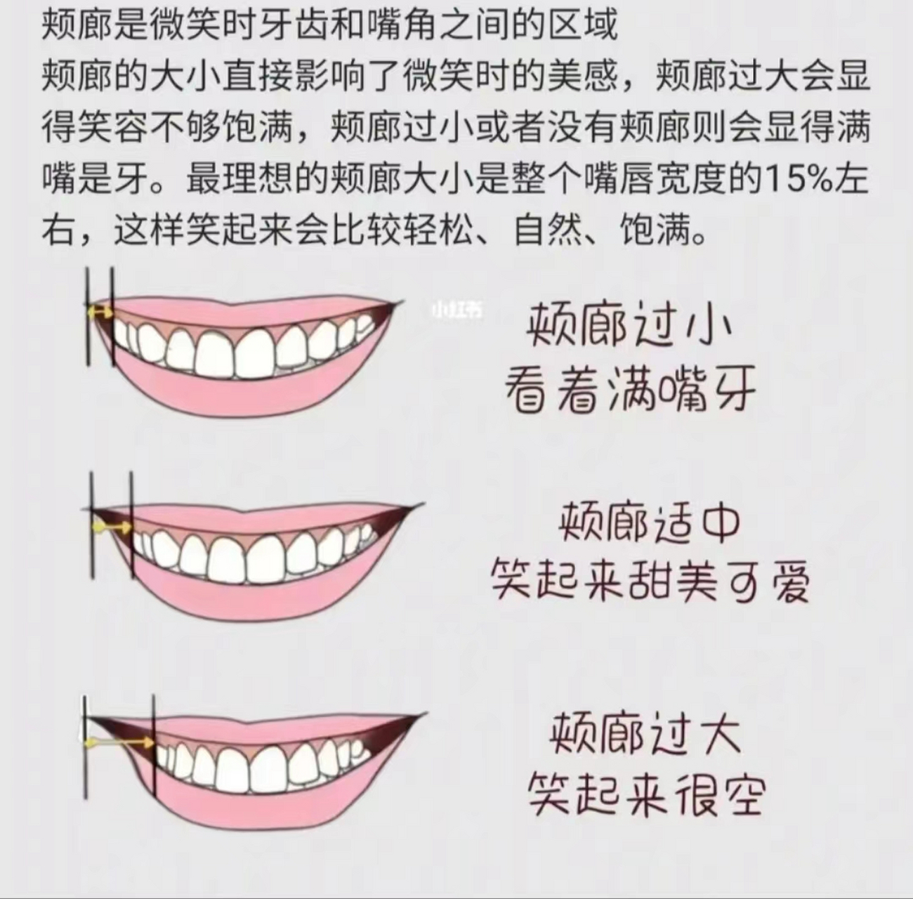 牙齿颊部的位置图片图片