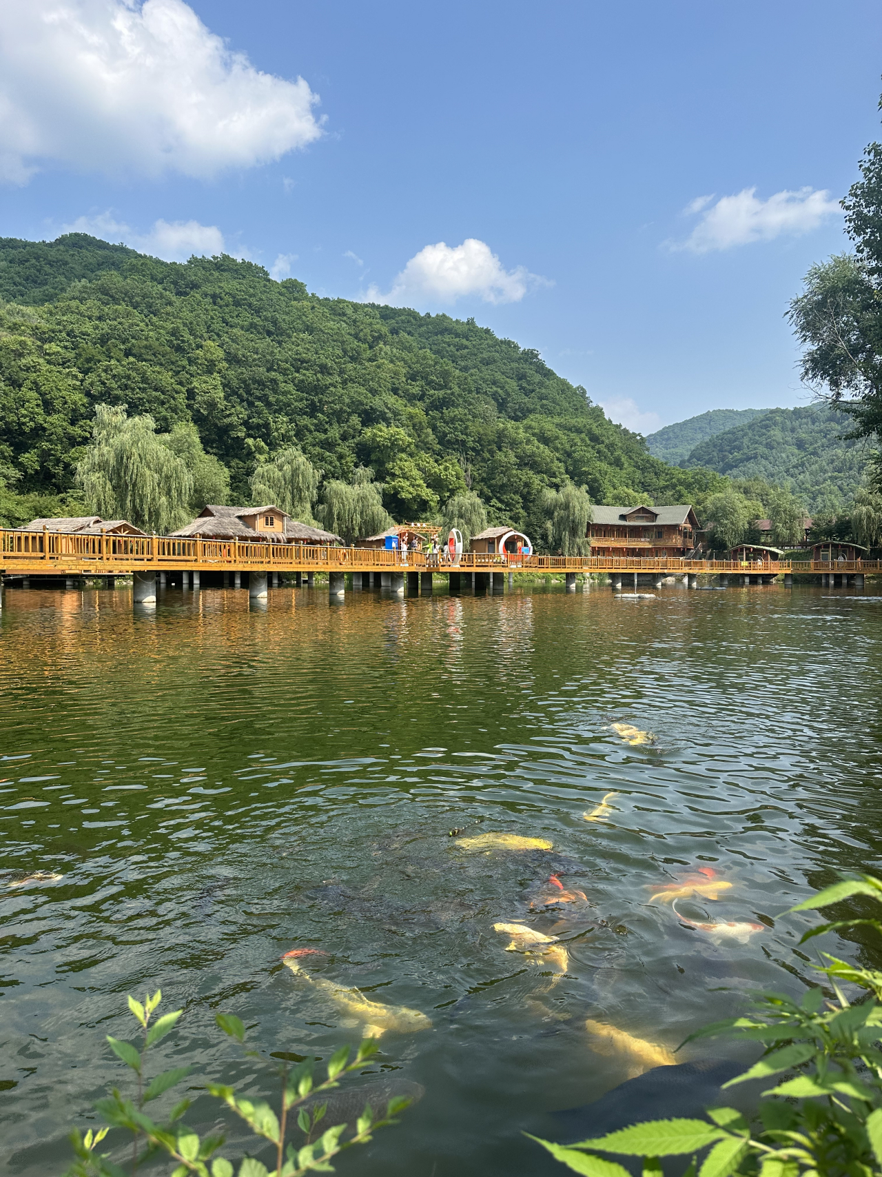 网红打卡地辽宁杠杠滴# 【参仙谷美景】 #美好辽宁欢迎您# #振行侣