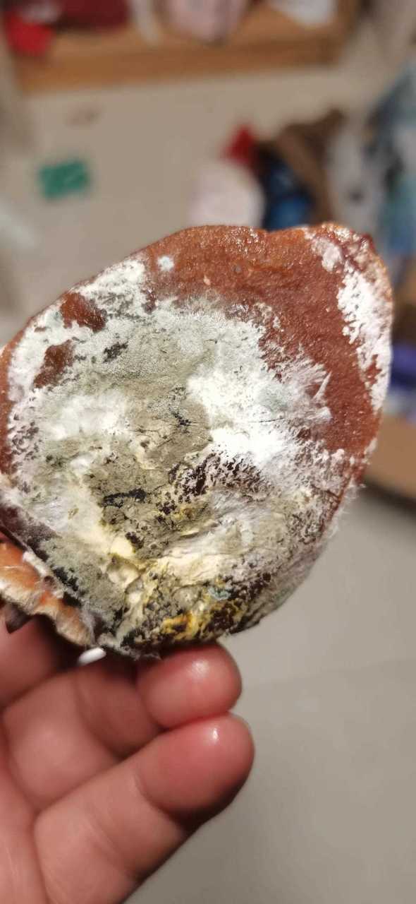 柿饼霉了能吃吗?