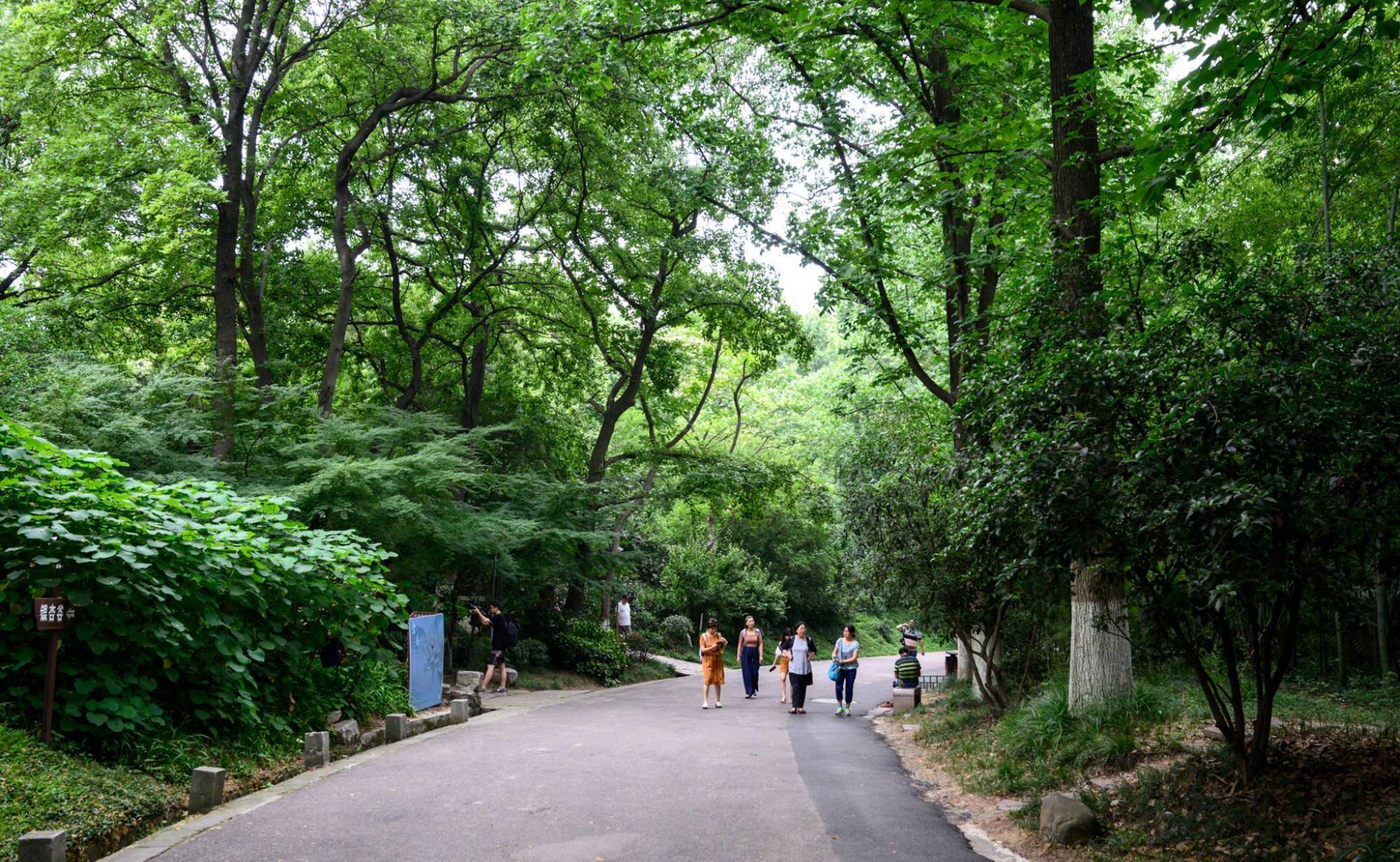 南京清凉山公园是一座历史悠久的名山,有着丰富的历史遗迹和名胜古迹.