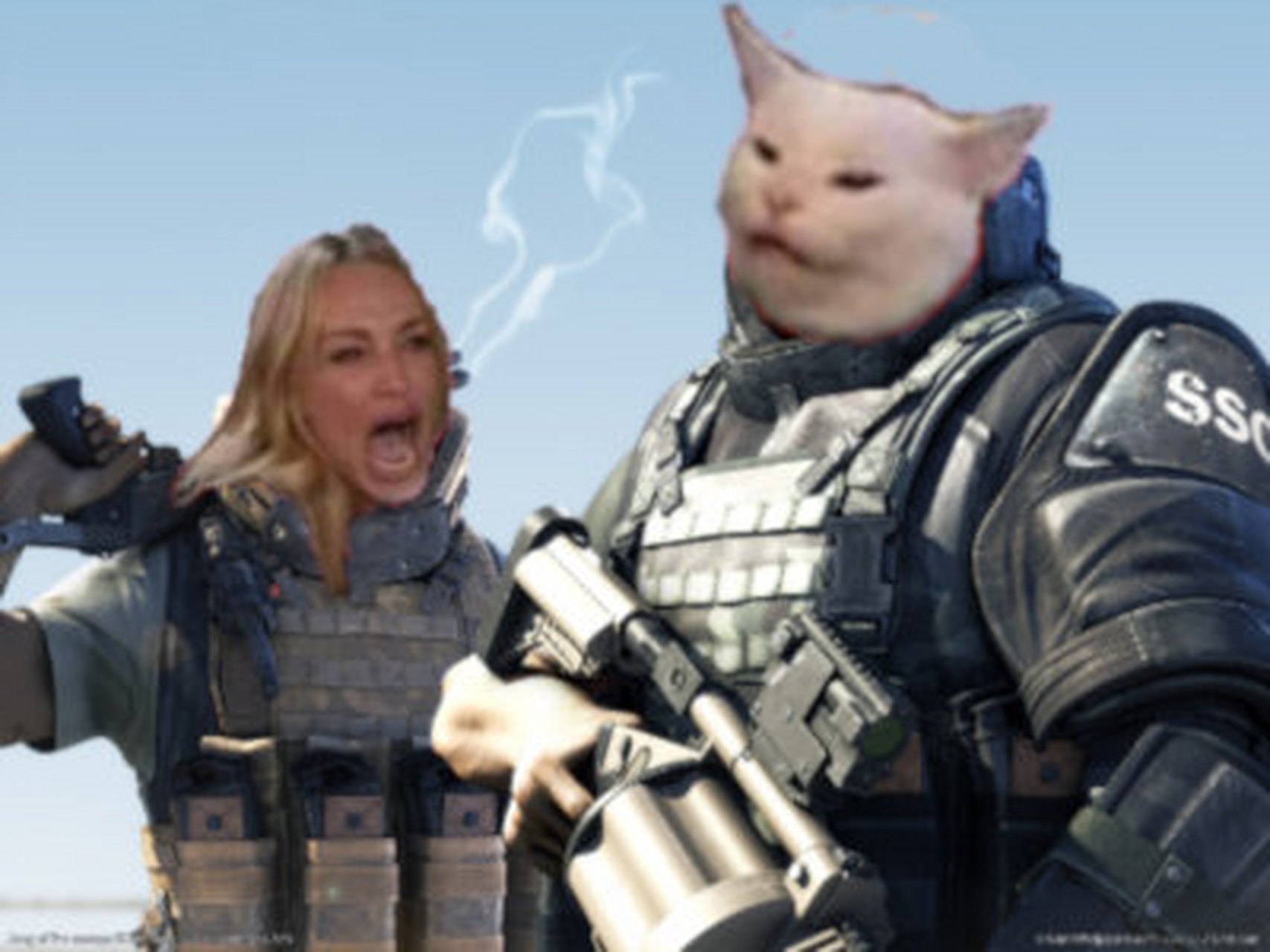 "女人骂猫"是我最喜欢的meme 没有之一 后知后觉刷到ta还有那么多衍生