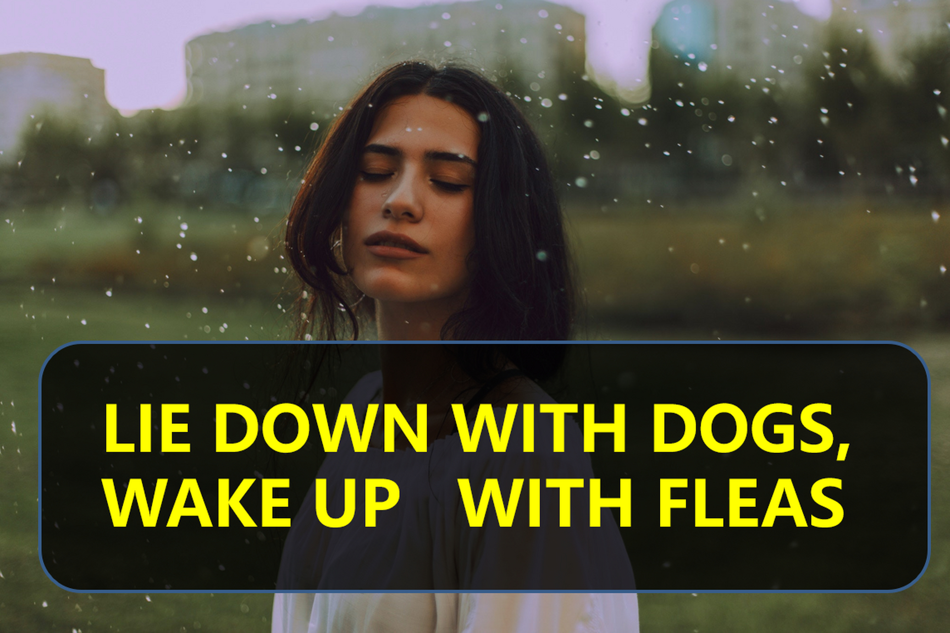 英语谚语:lie down with dogs, wake up with fleas 请大家来翻译